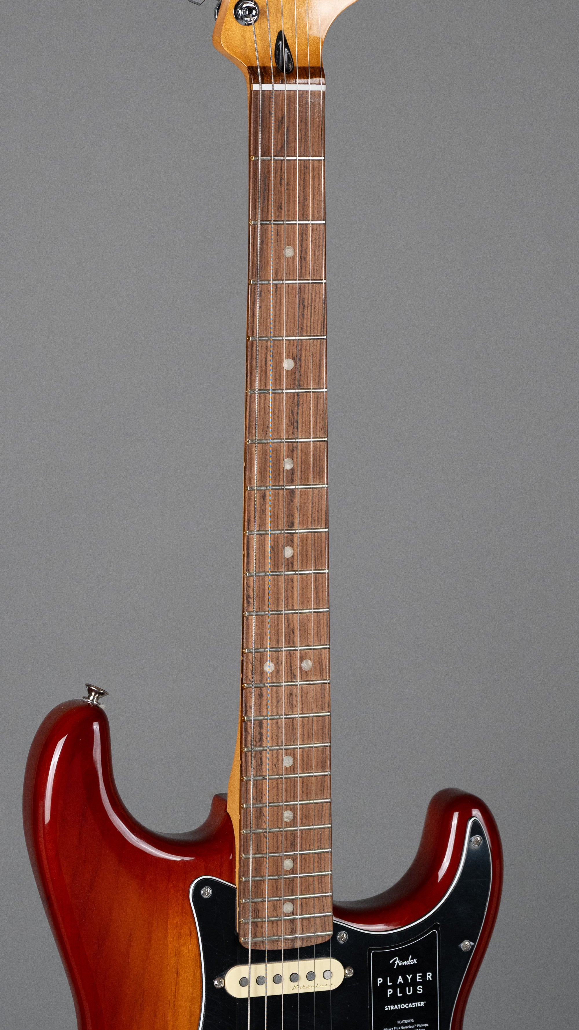 2023 Fender Player Plus Stratocaster (Mexico, Sienna Sunburst)
