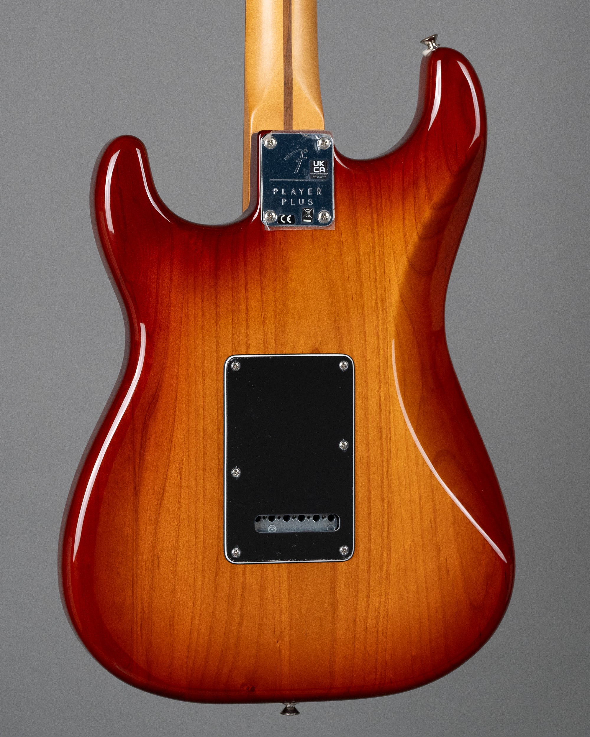 2023 Fender Player Plus Stratocaster (Mexico, Sienna Sunburst)