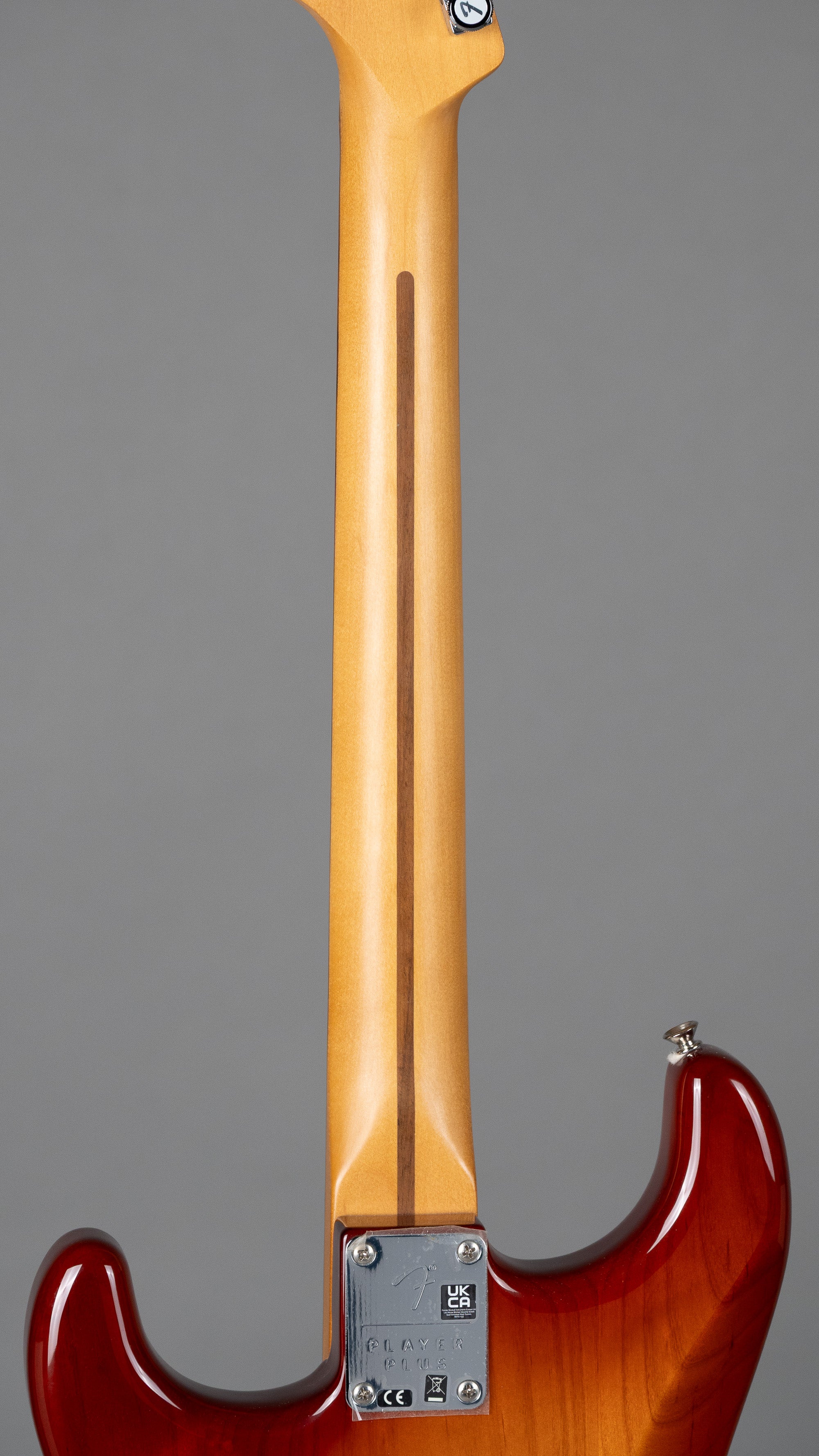 2023 Fender Player Plus Stratocaster (Mexico, Sienna Sunburst)