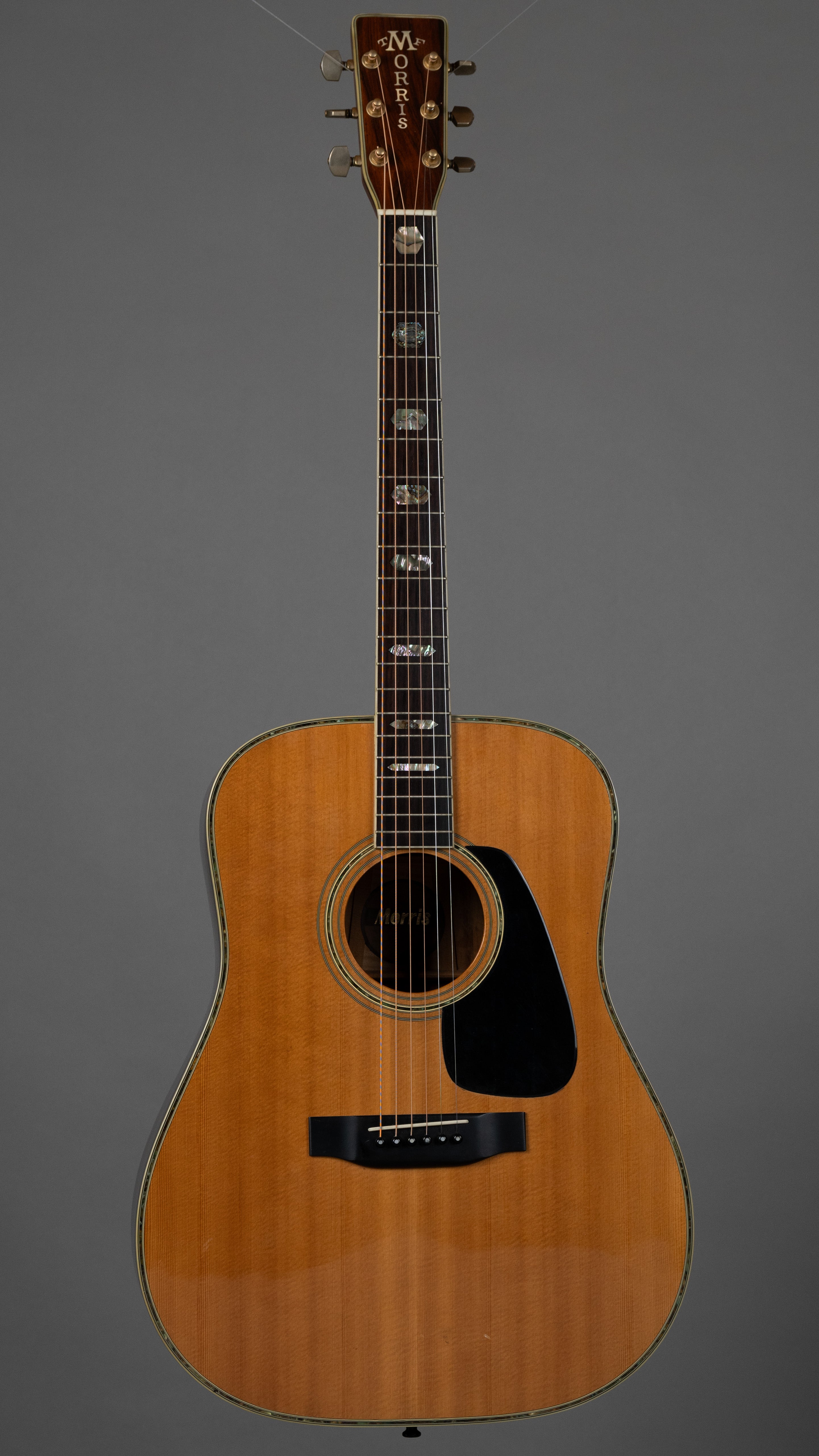 c1980s Morris TF-805 (Japan, Natural)