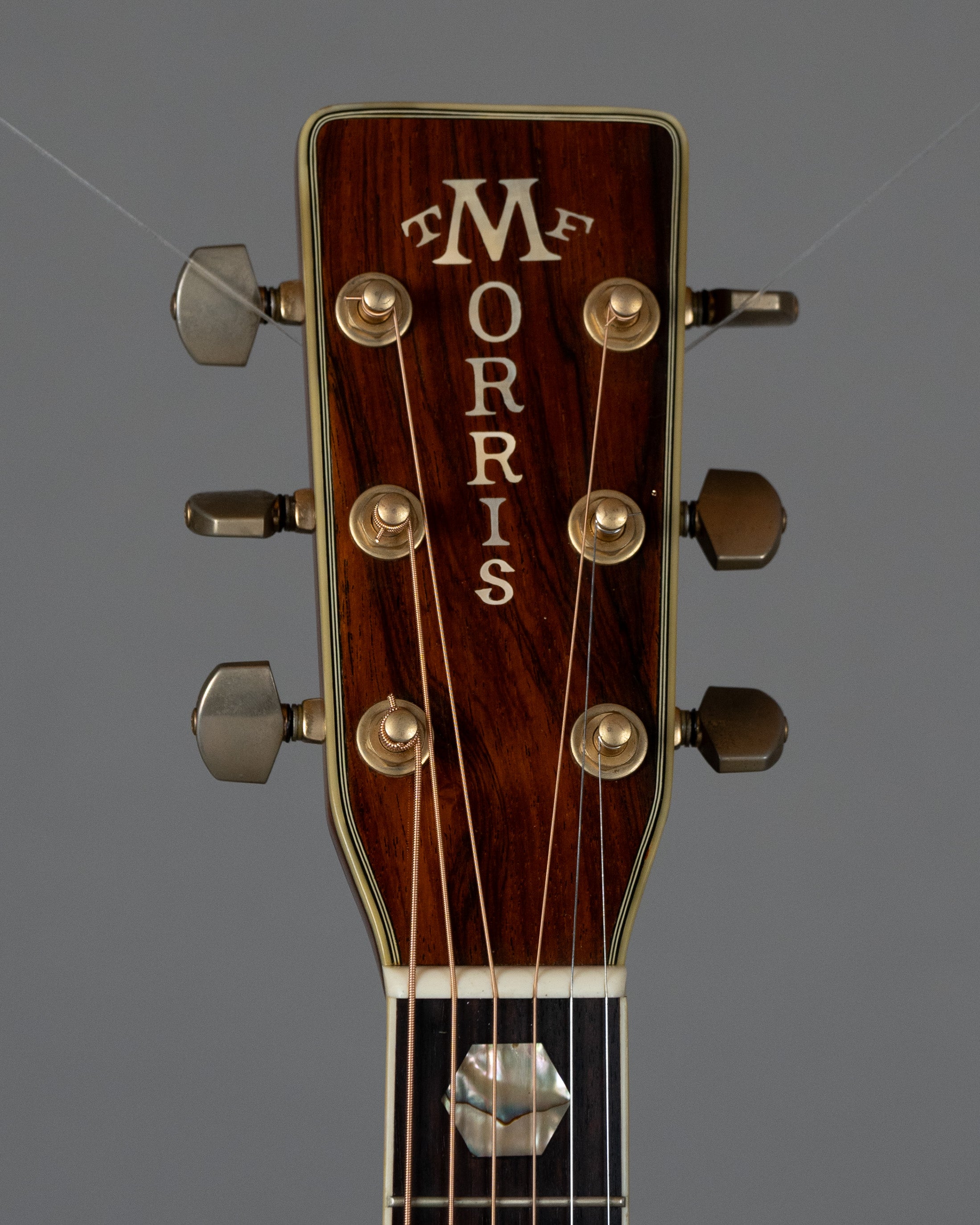 c1980s Morris TF-805 (Japan, Natural)