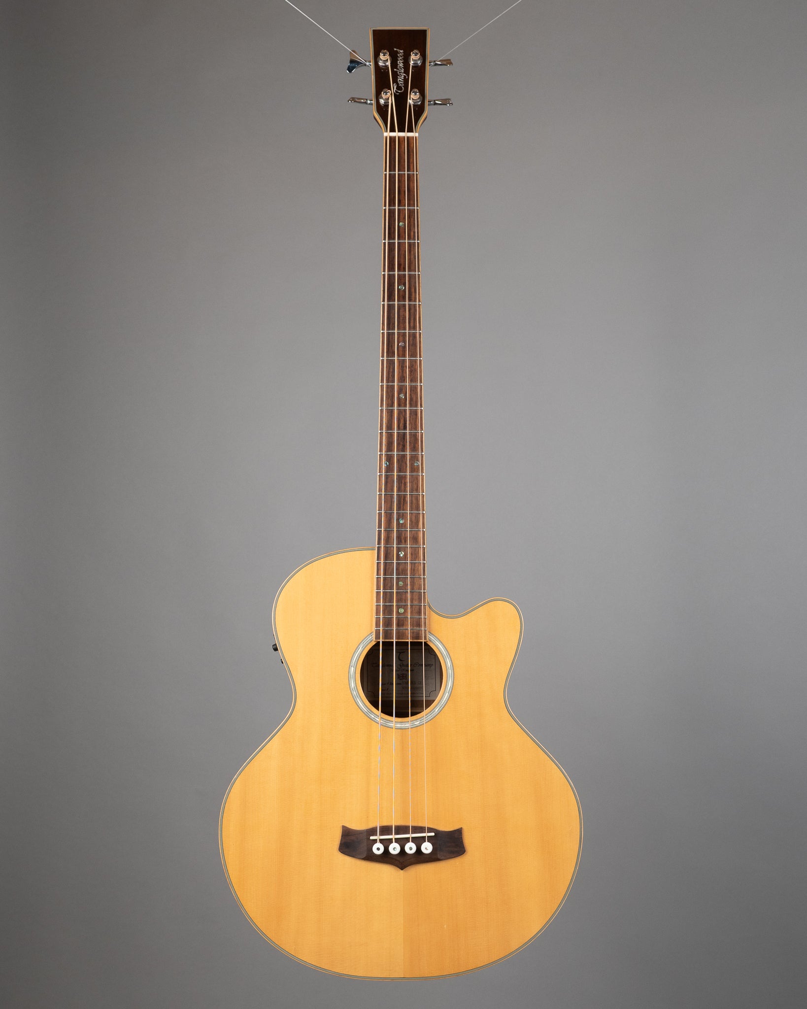 c2010 Tanglewood TAB DLX CE Deluxe Acoustic Bass (China, Natural Satin)