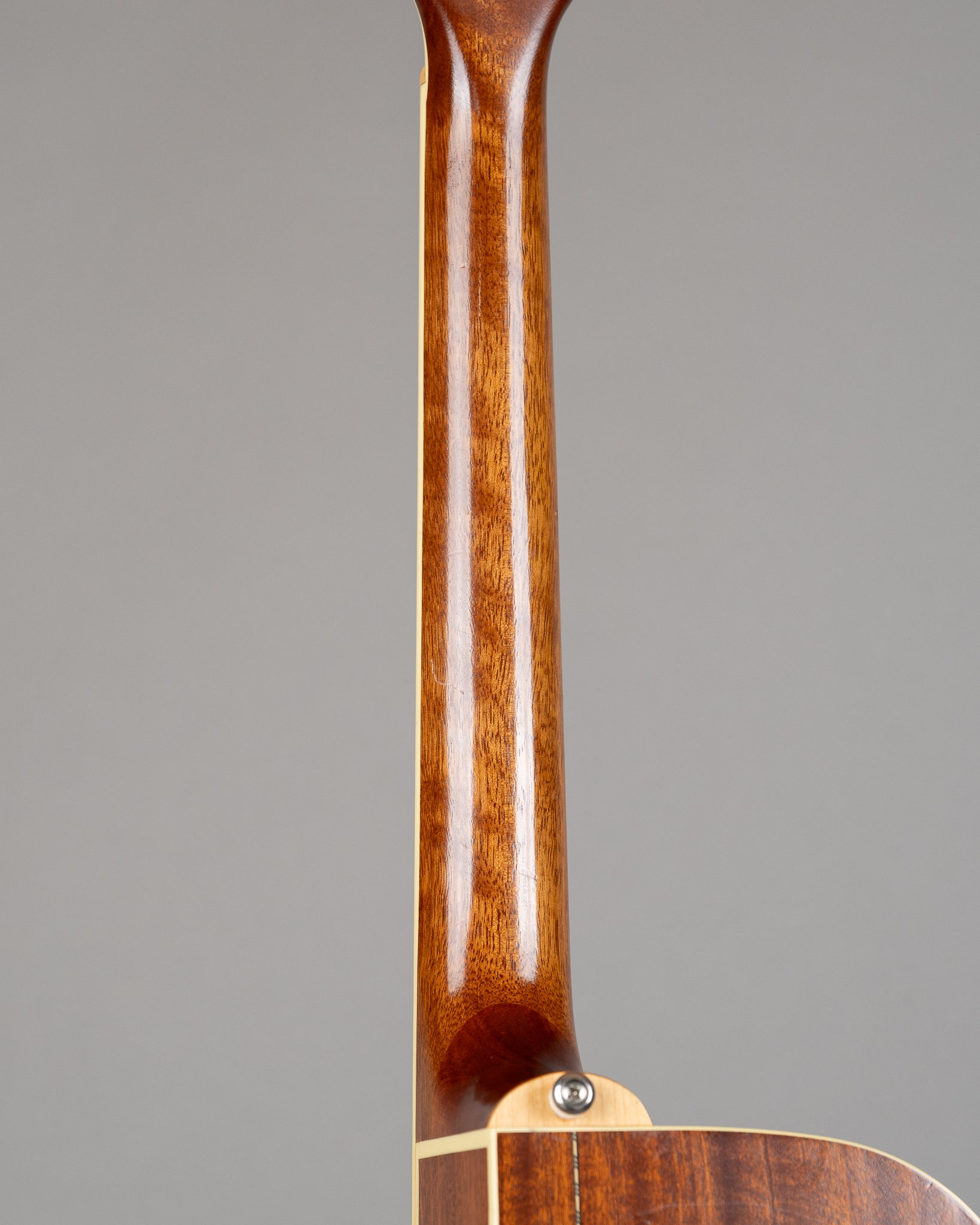 Cort MR-AS-L 6 String (Korea, Natural, HSC)