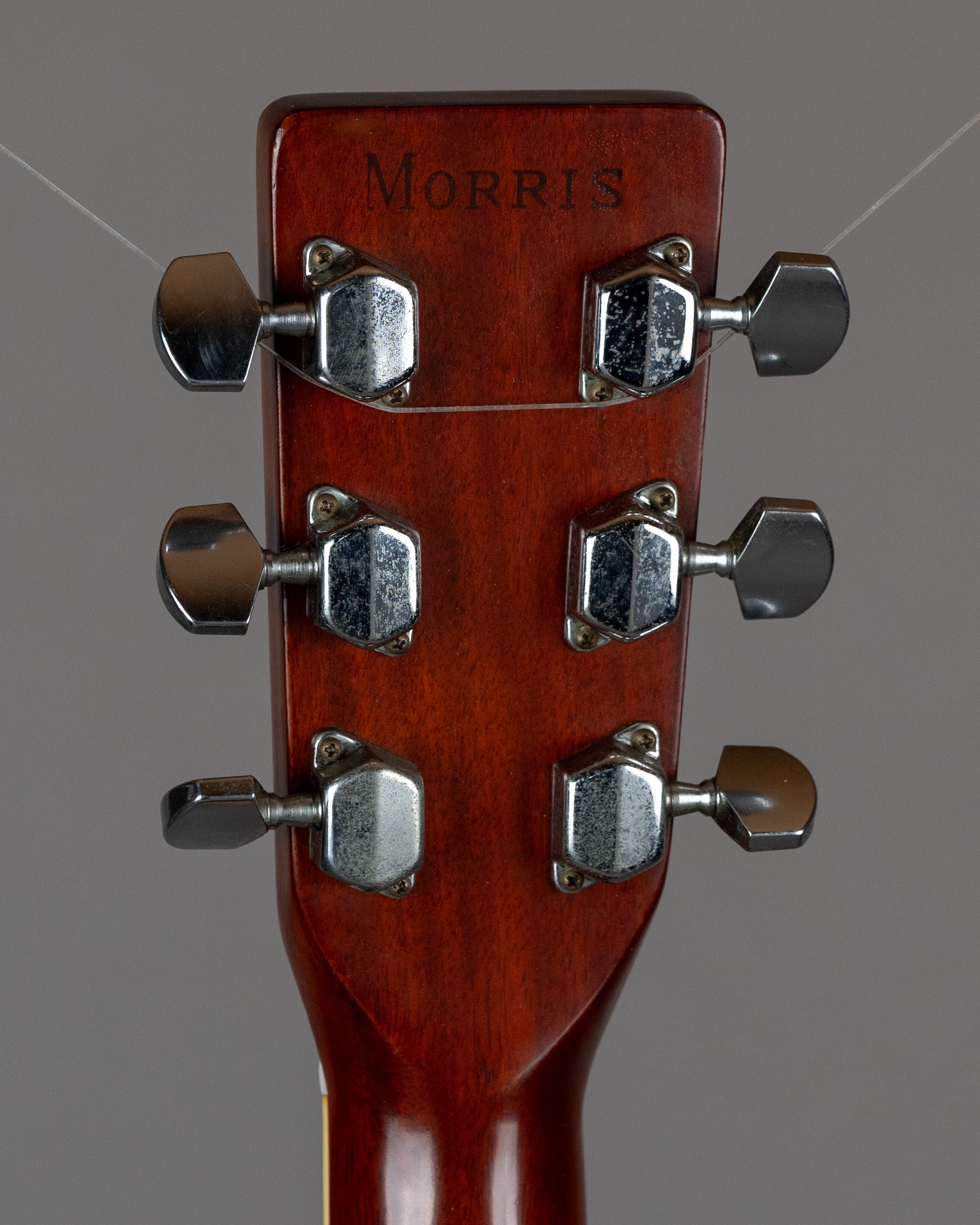 c1980s Morris W-20 'Dove' (Japan, Natural Gloss)