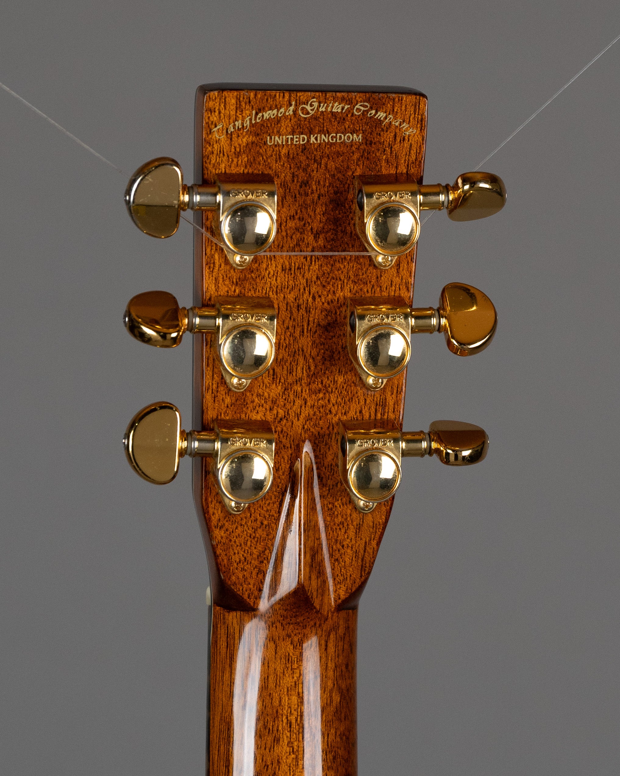 2008 Tanglewood TW4CE Winterleaf Acoustic (China, Natural)