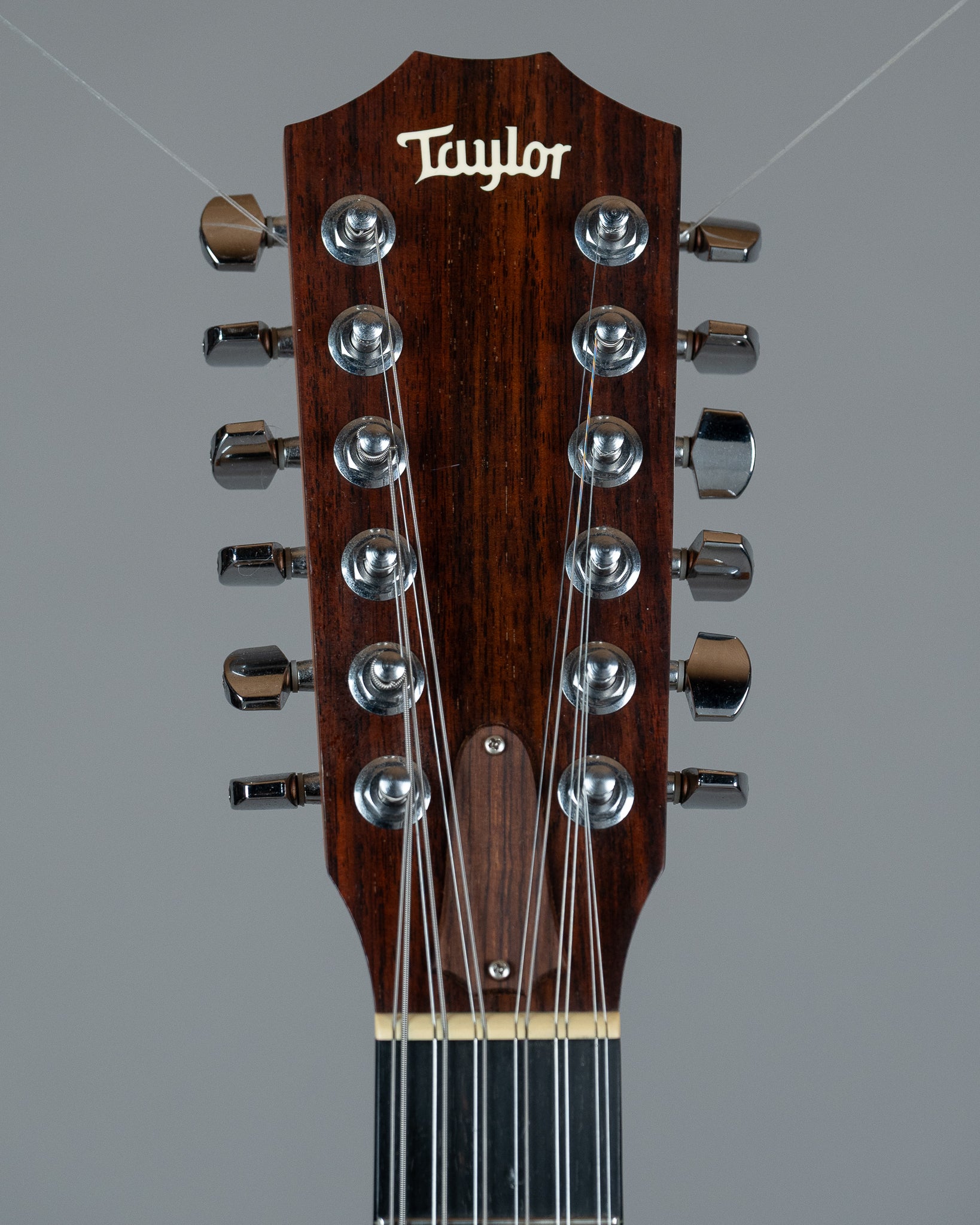 2004 Taylor 355CE-L7 12 String Special Edition (USA, Spruce/Tasmania Blackwood, Pickup, OHSC)