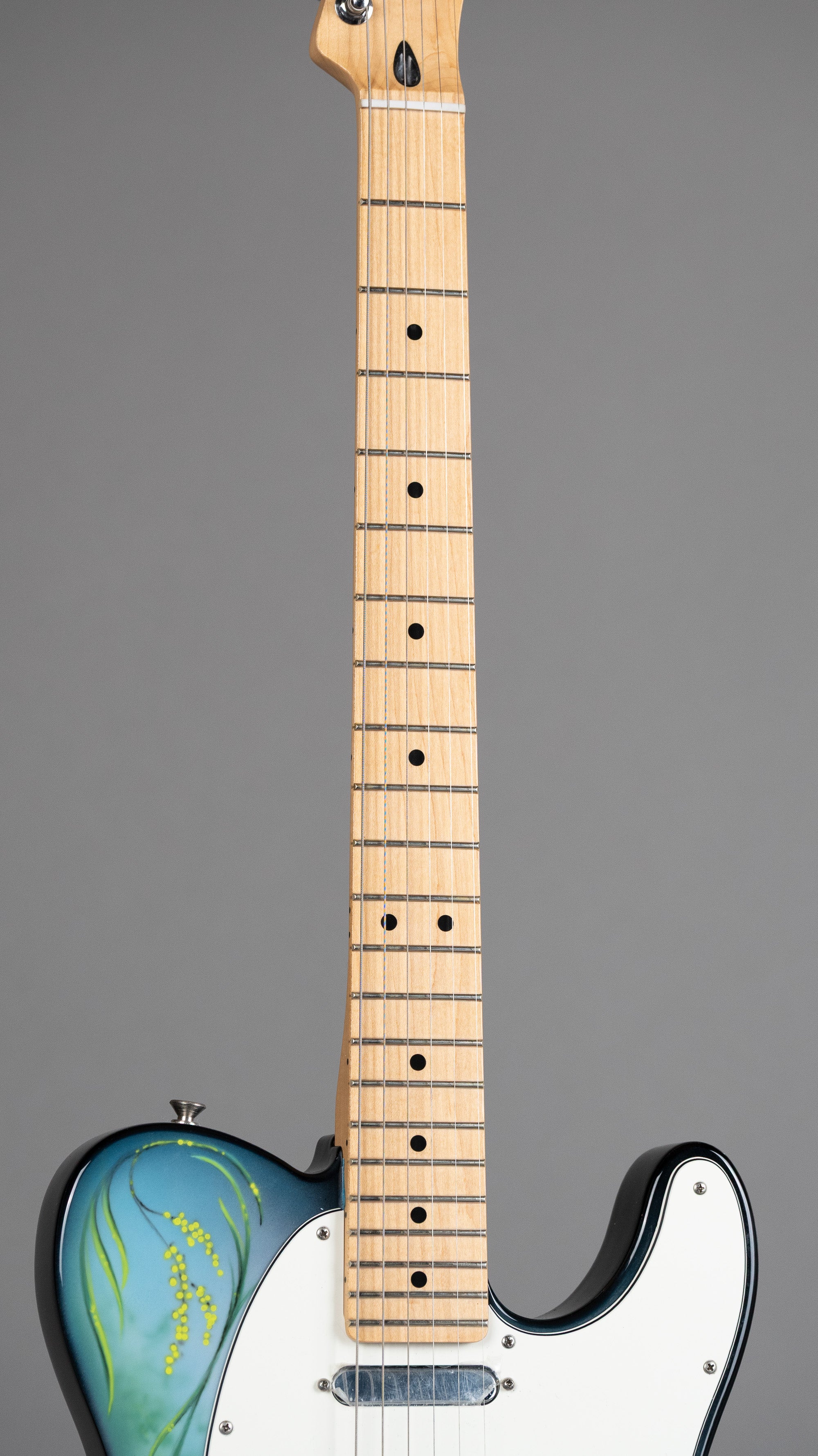 2020 Fender Player Telecaster Cockatoo (Mexico, Cockatoo, Fender HSC)