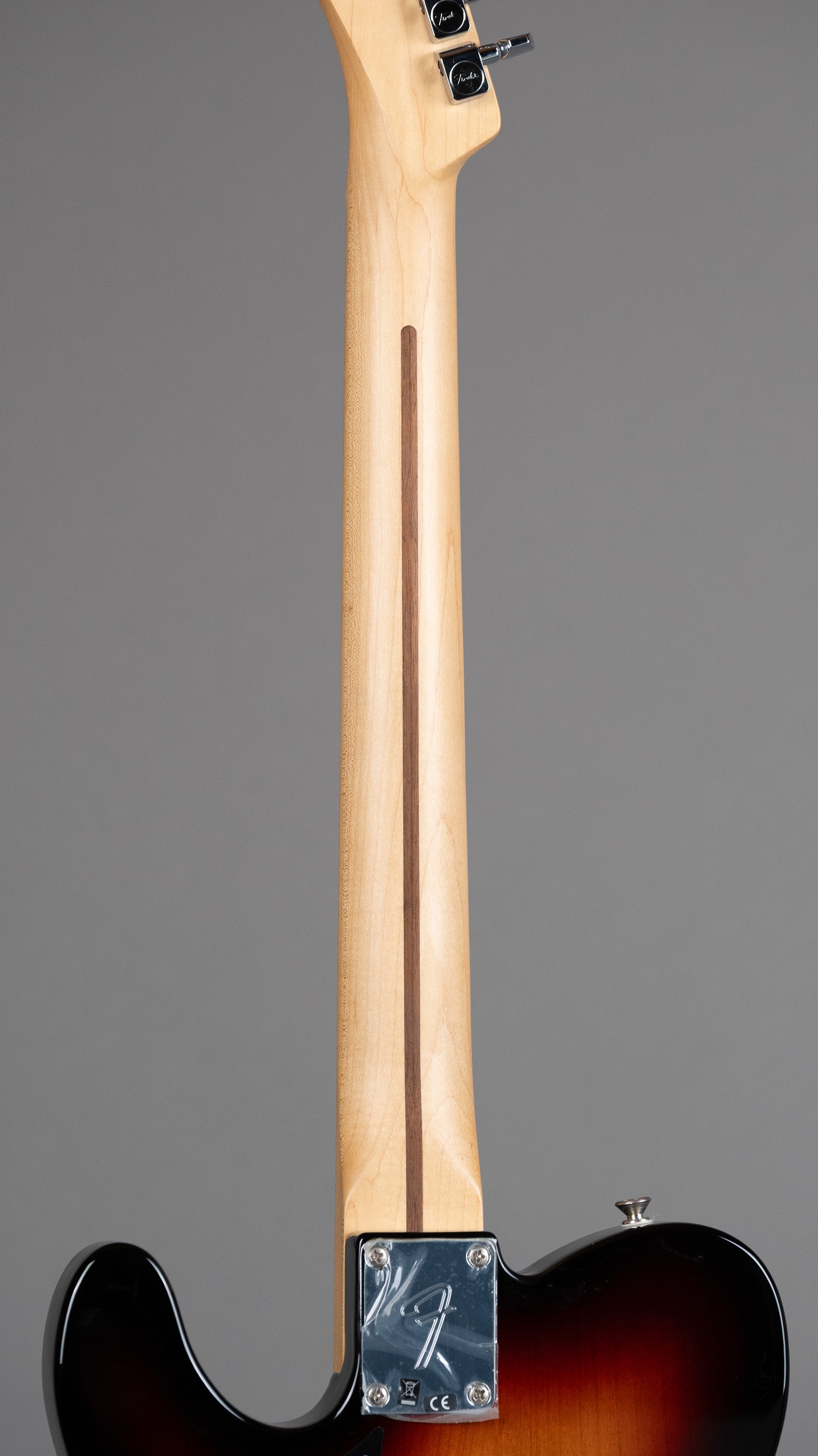 2020 Fender Player Telecaster Cockatoo (Mexico, Cockatoo, Fender HSC)