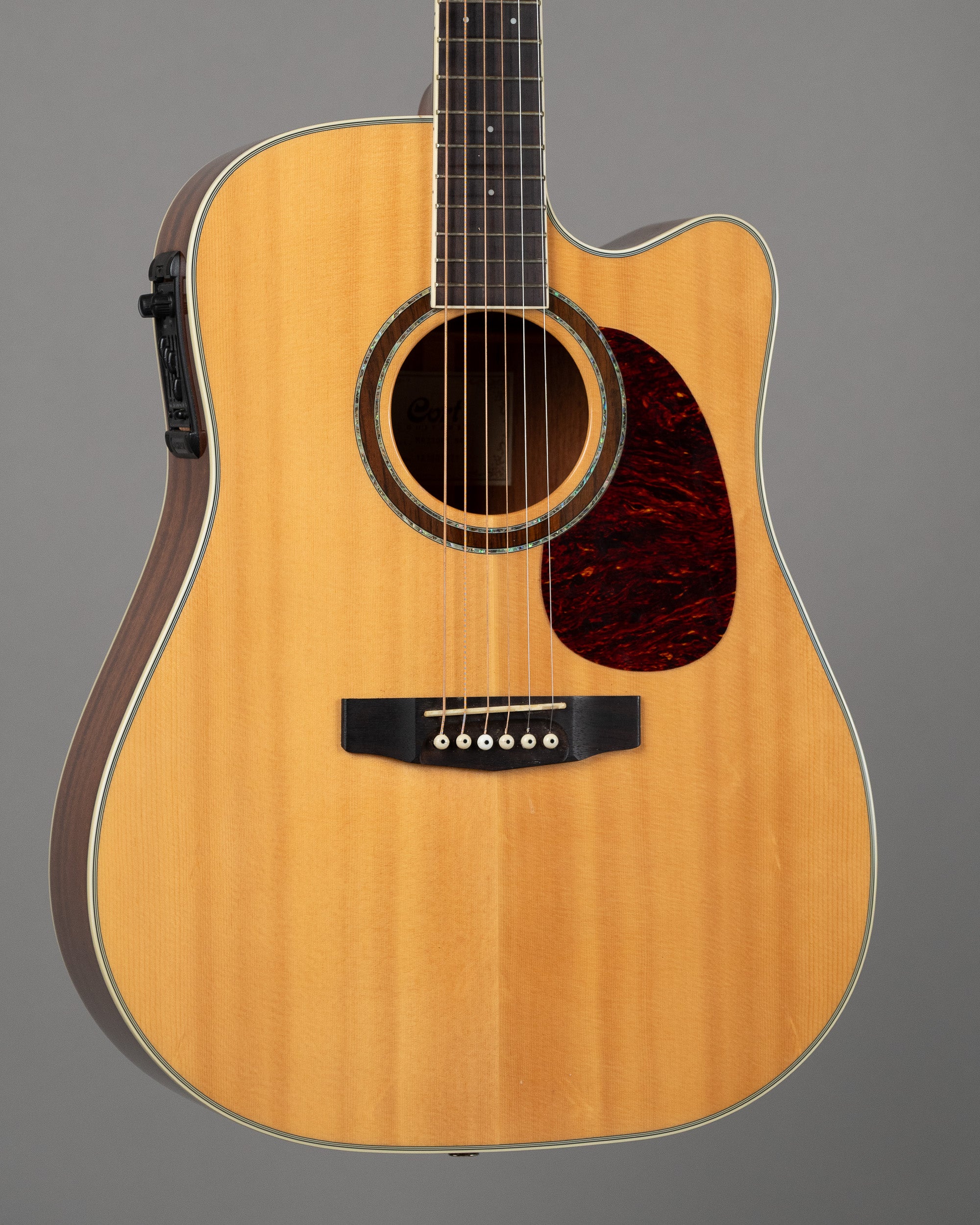 2012 Cort MR730FX (China, Natural, Pickup)