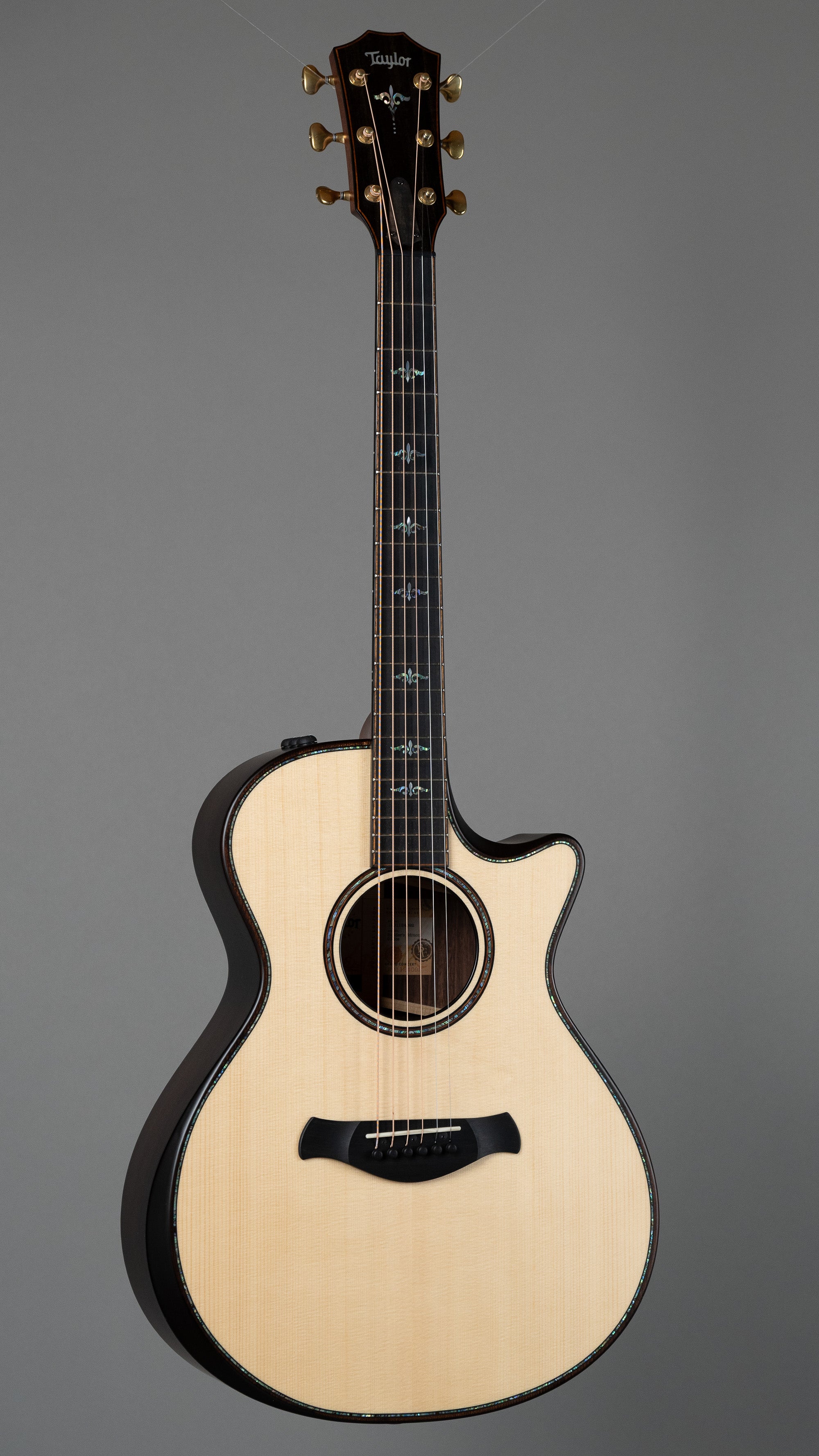 2024 Taylor 912ce Builders Edition (USA, Natural, OHSC)