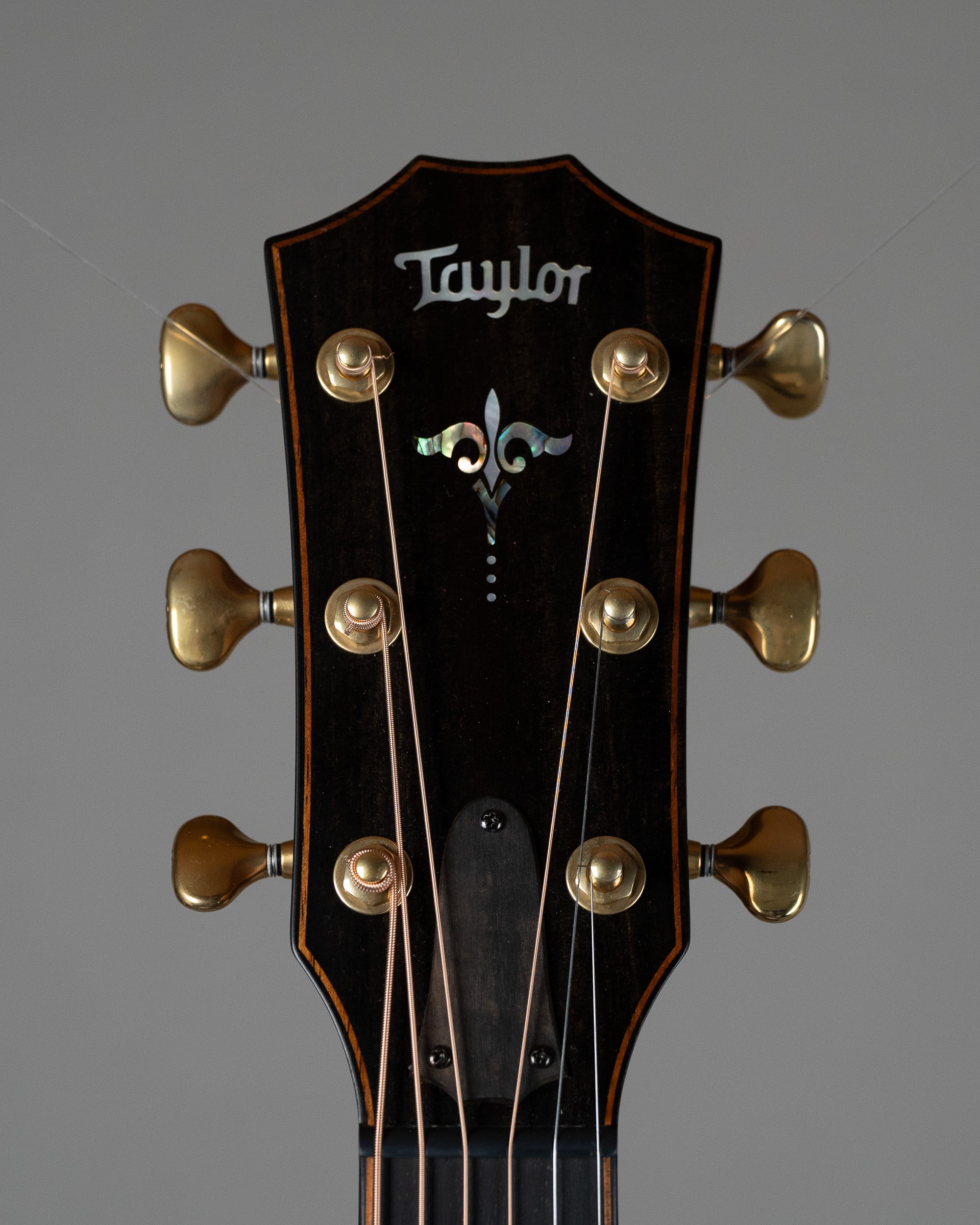 2024 Taylor 912ce Builders Edition (USA, Natural, OHSC)