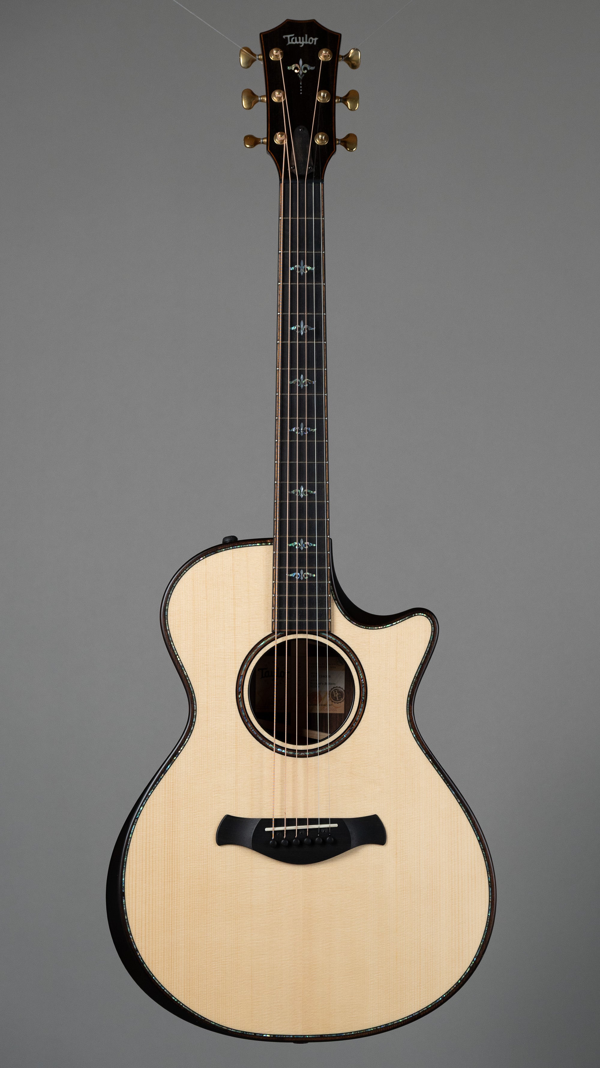 2024 Taylor 912ce Builders Edition (USA, Natural, OHSC)