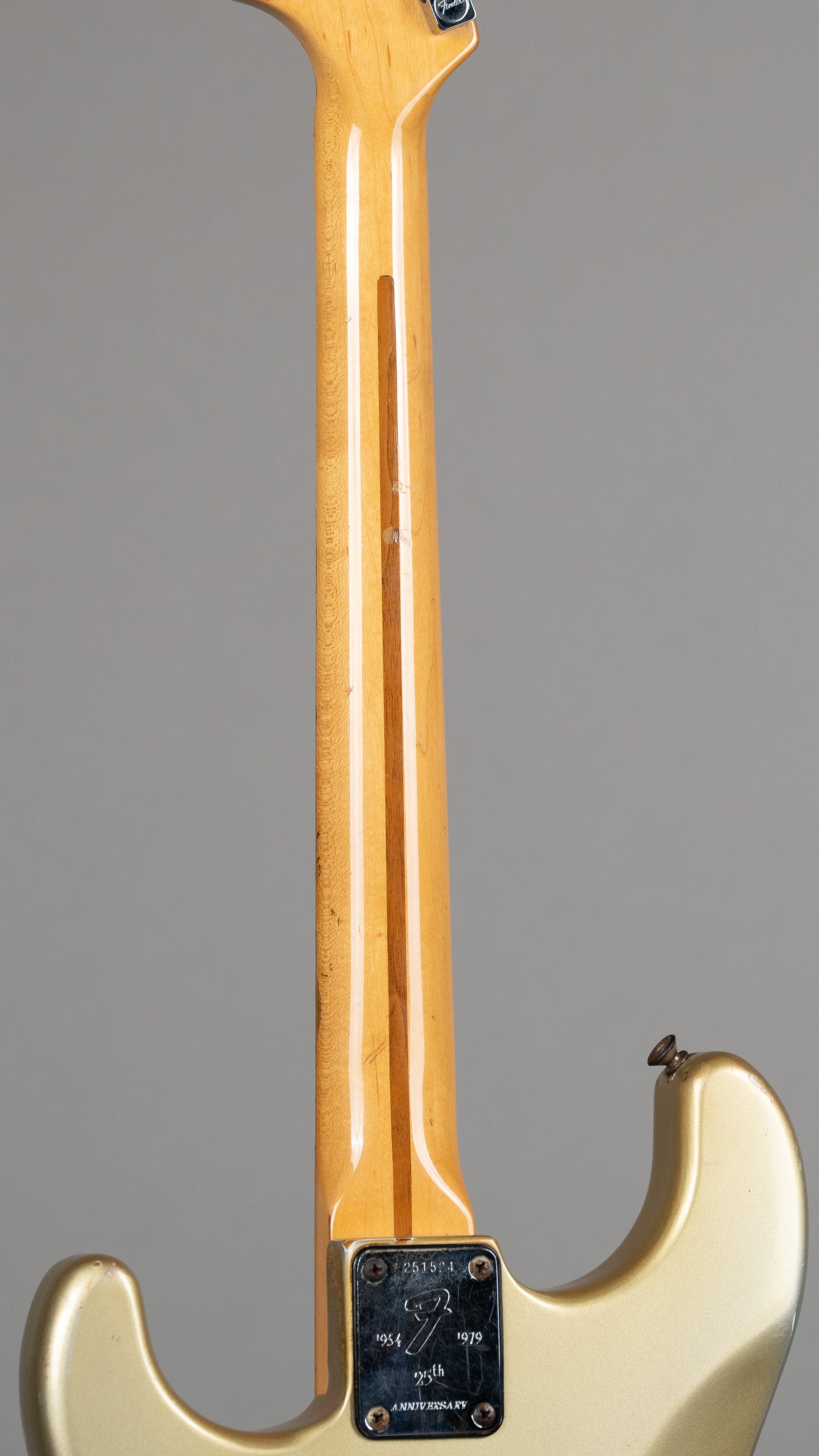 1979 Fender Anniversary Stratocaster (USA, Silver, Fender Tweed Case)