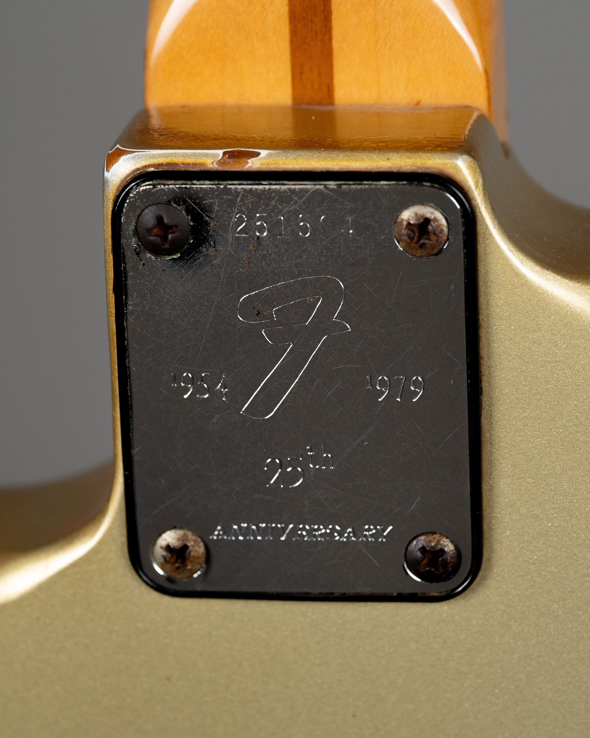 1979 Fender Anniversary Stratocaster (USA, Silver, Fender Tweed Case)