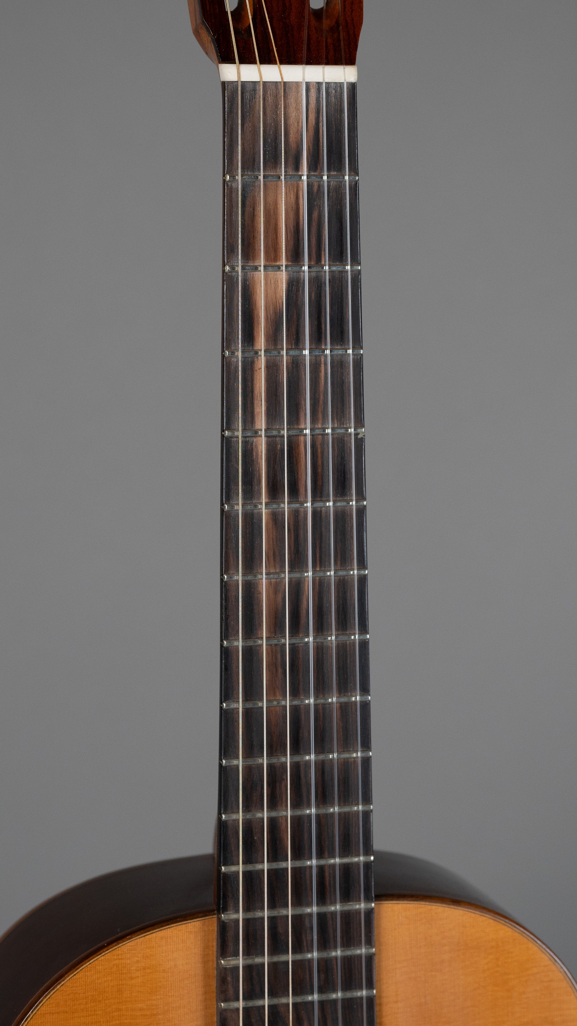 2019 Dan Kellaway Classical (Australia, Natural, Hiscox Case)