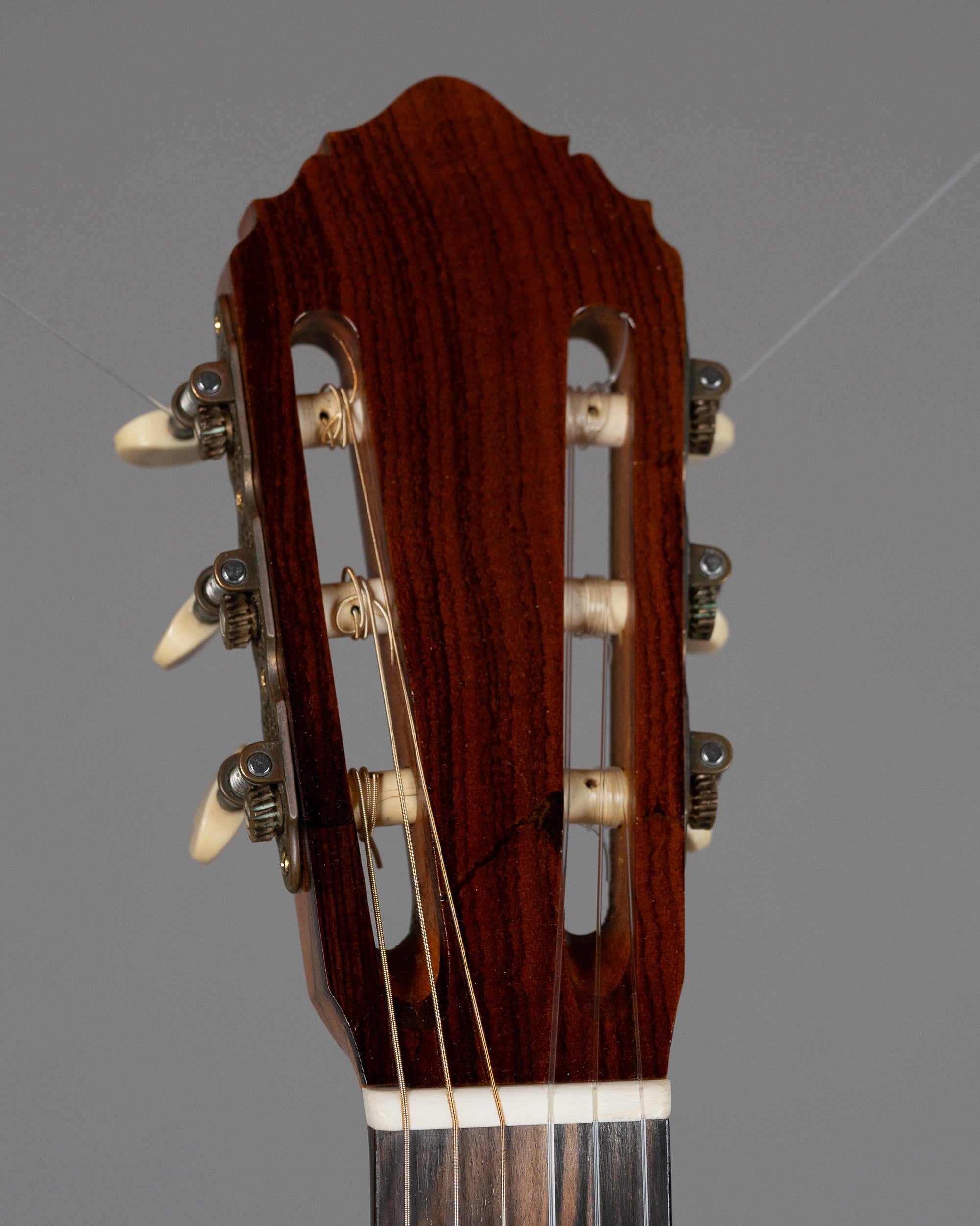 2019 Dan Kellaway Classical (Australia, Natural, Hiscox Case)