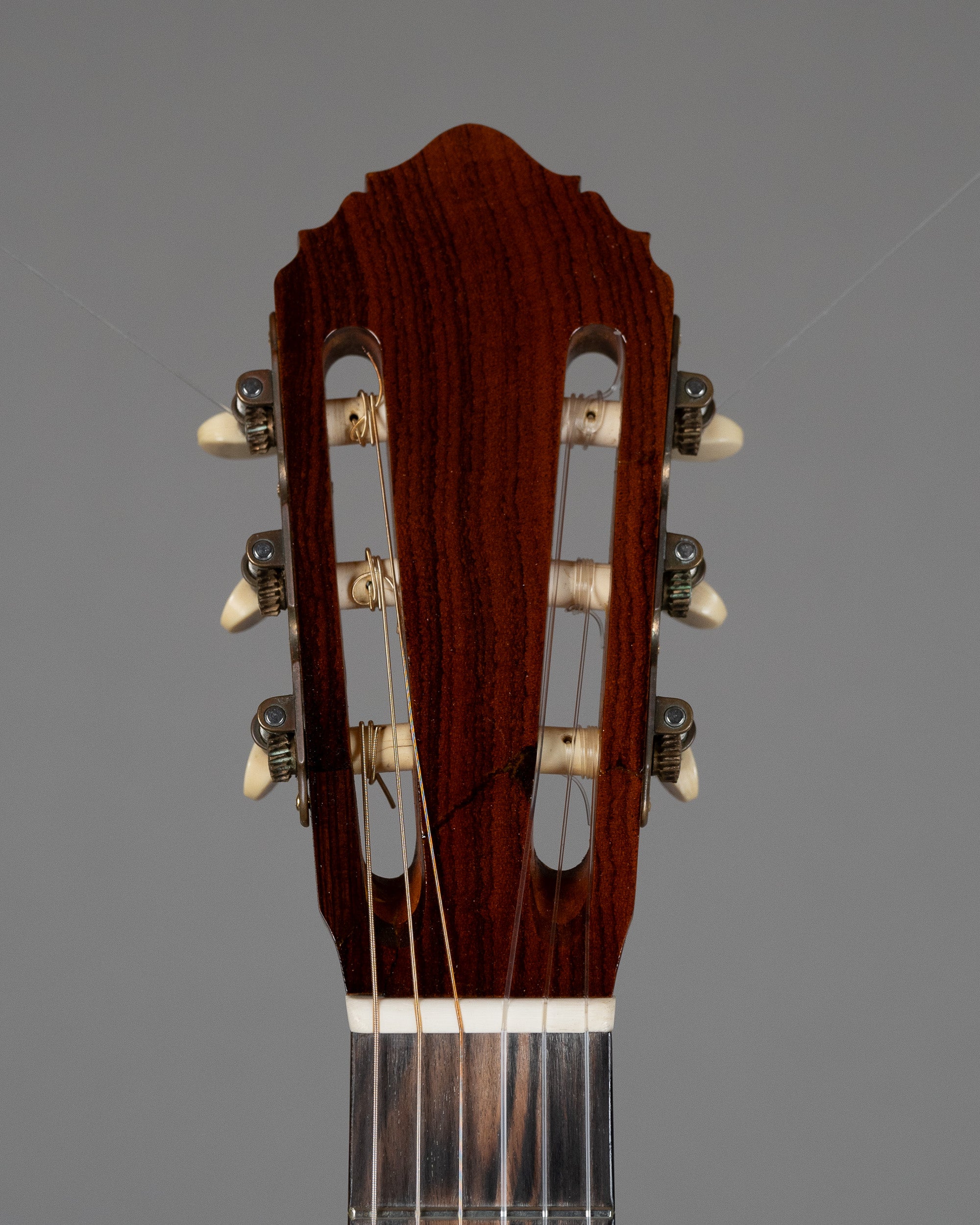 2019 Dan Kellaway Classical (Australia, Natural, Hiscox Case)