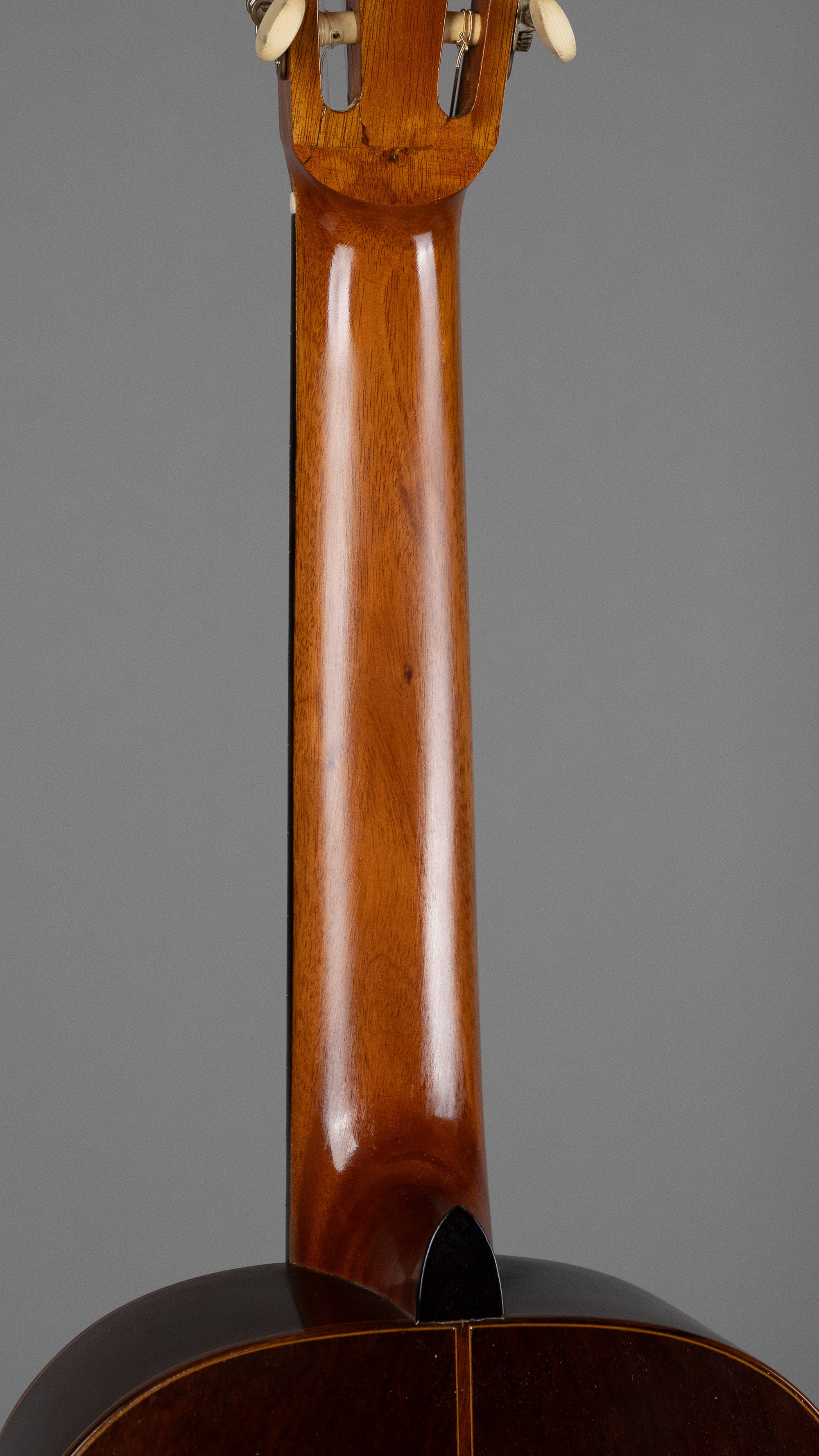 2019 Dan Kellaway Classical (Australia, Natural, Hiscox Case)