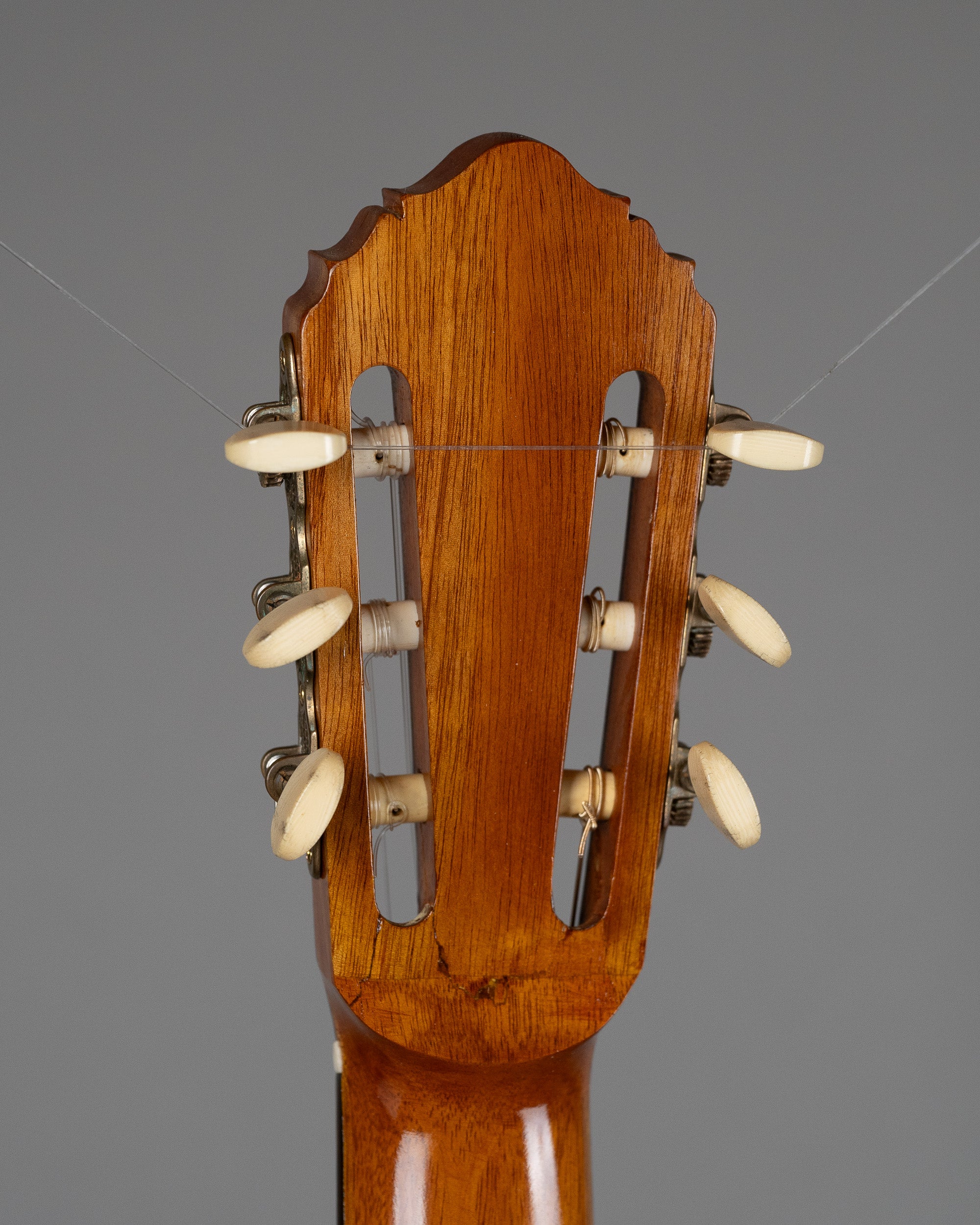 2019 Dan Kellaway Classical (Australia, Natural, Hiscox Case)