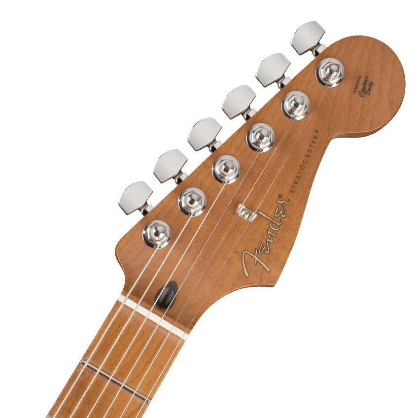 Fender Dealer Exclusive American Pro II Strat V (Maple, Blackguard Blonde)