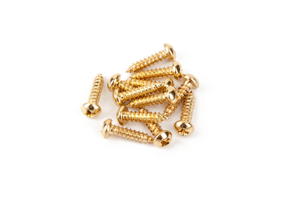 Fender Pure Vintage Tuning Machine Mounting Screws (Gold, 12)