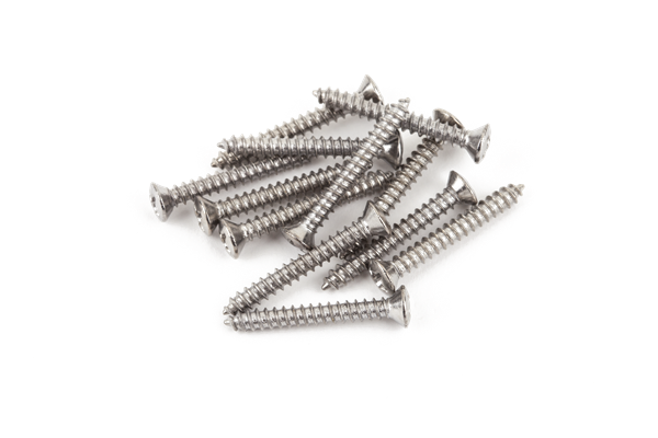 Fender Vintage-Style Bass/Telecaster Bridge/Strap Button Mounting Screws (12) (Phillips head) (Nickel)
