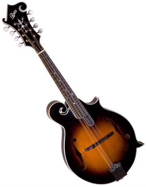 Rover RM-75 Solid F Style Mandolin (Spruce, Flame Maple, Gig Bag)