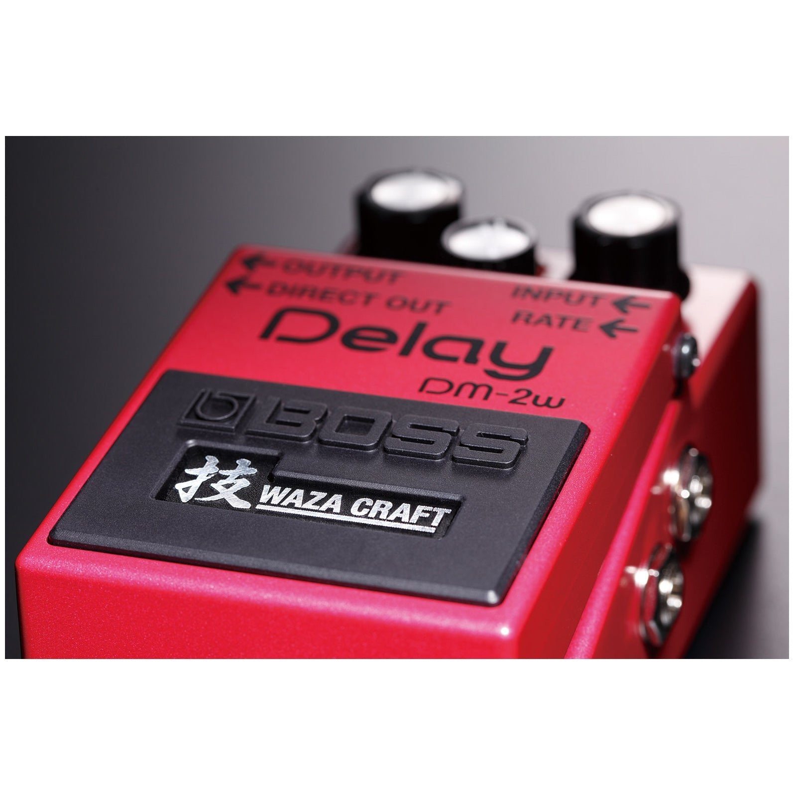 Boss DM-2W Analog Delay Waza Craft