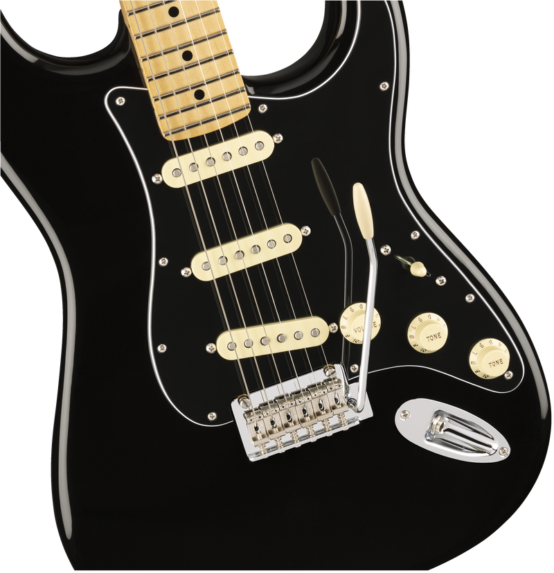 Fender Special Edition Player Stratocaster (Maple Neck, Black)