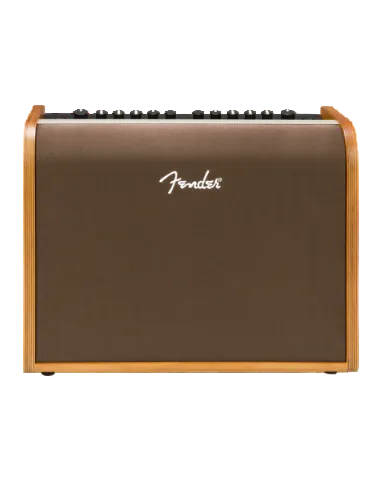 Fender Acoustic 100 Amplifier