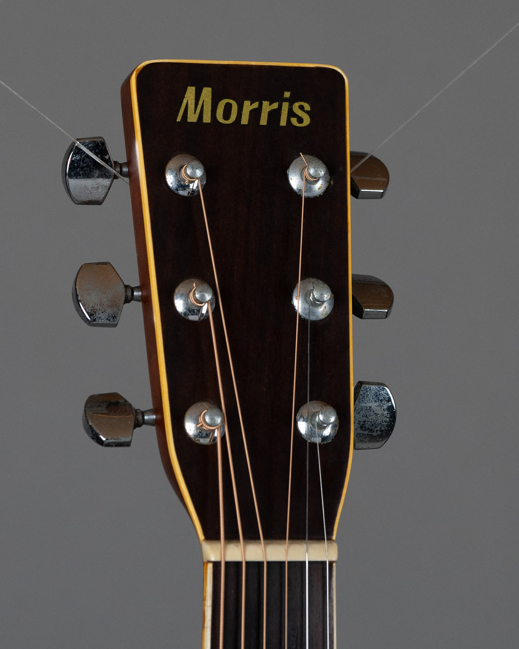 c1980s Morris W-25 (Japan, Natural)