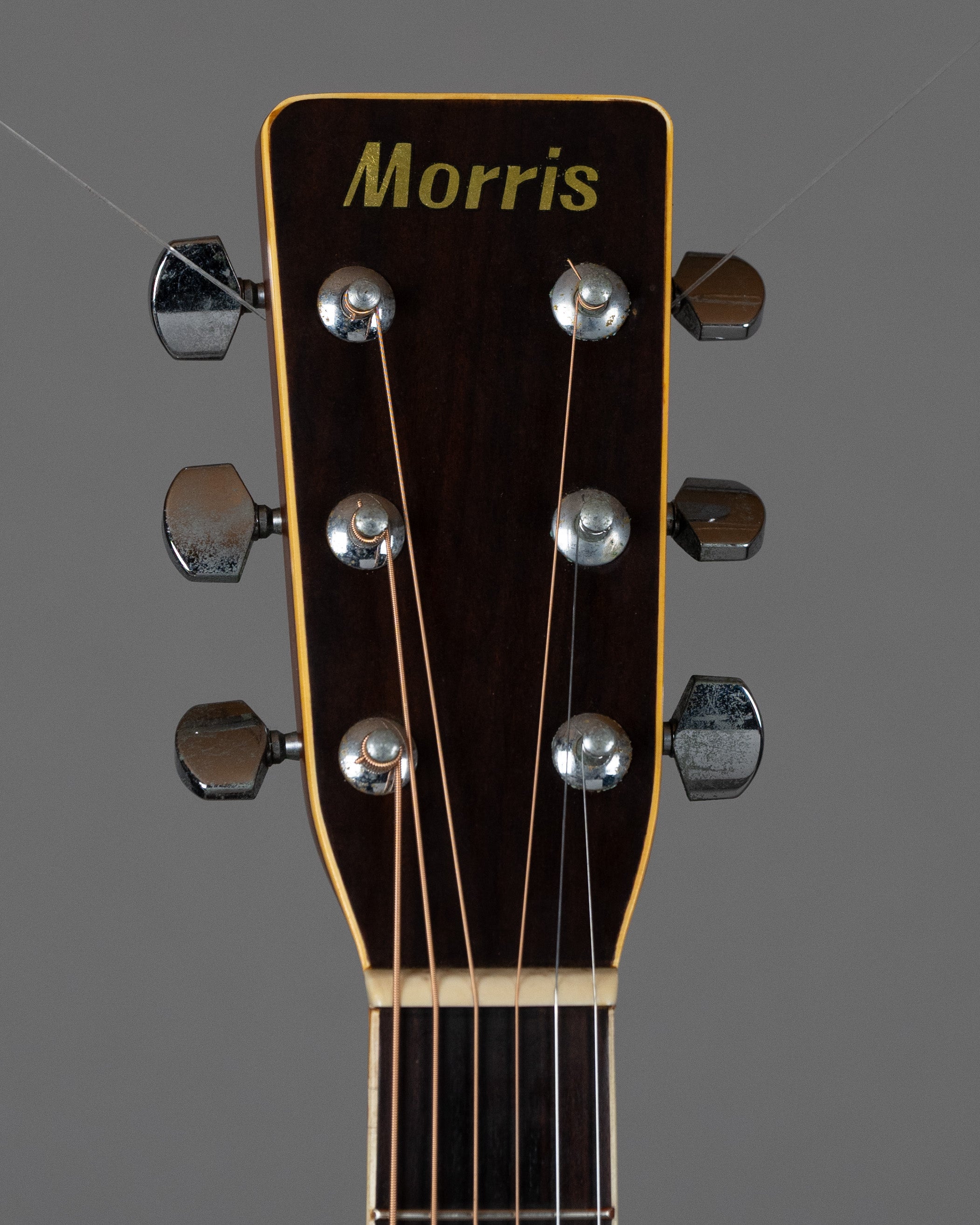 c1980s Morris W-25 (Japan, Natural)