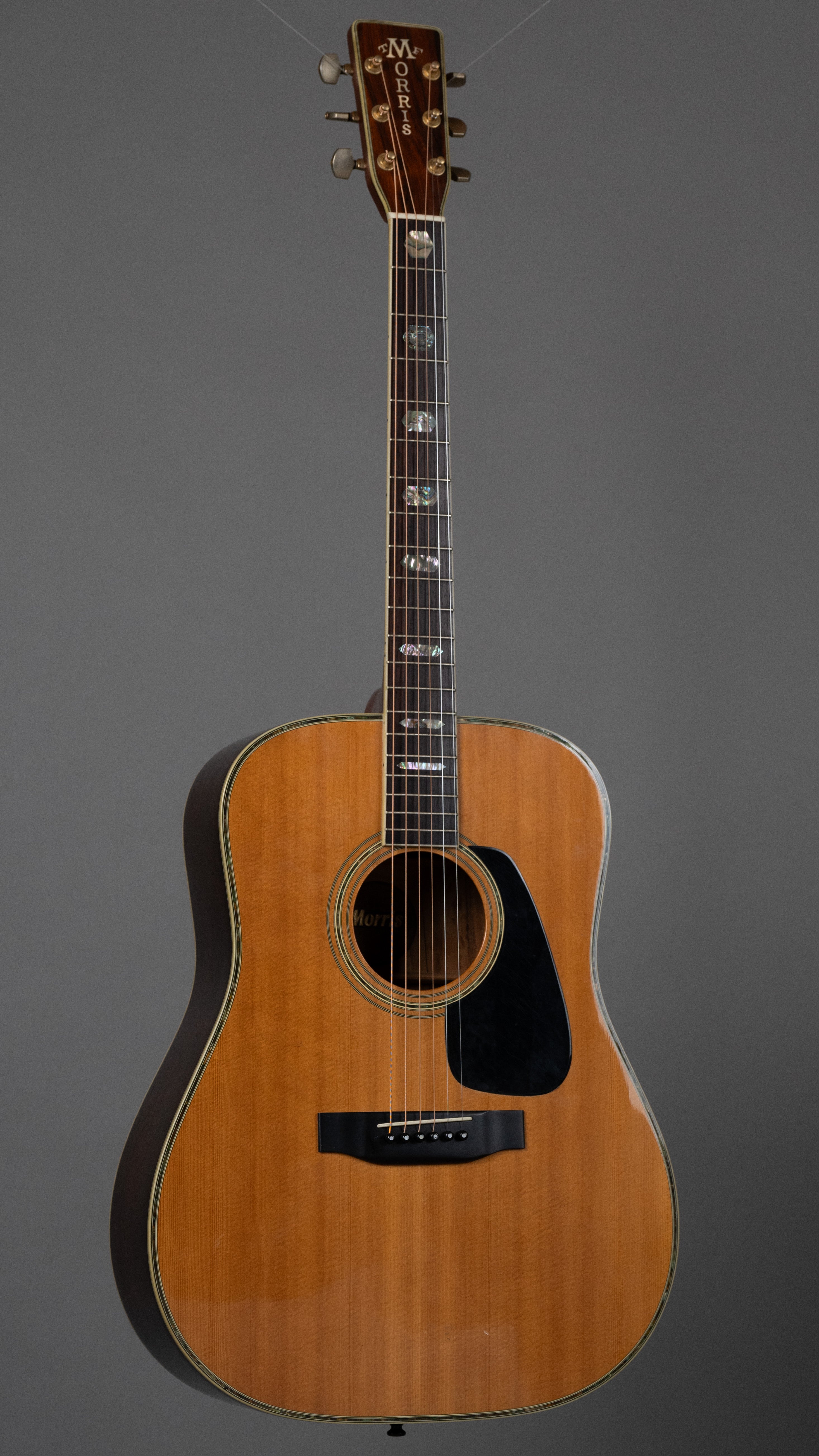 c1980s Morris TF-805 (Japan, Natural)