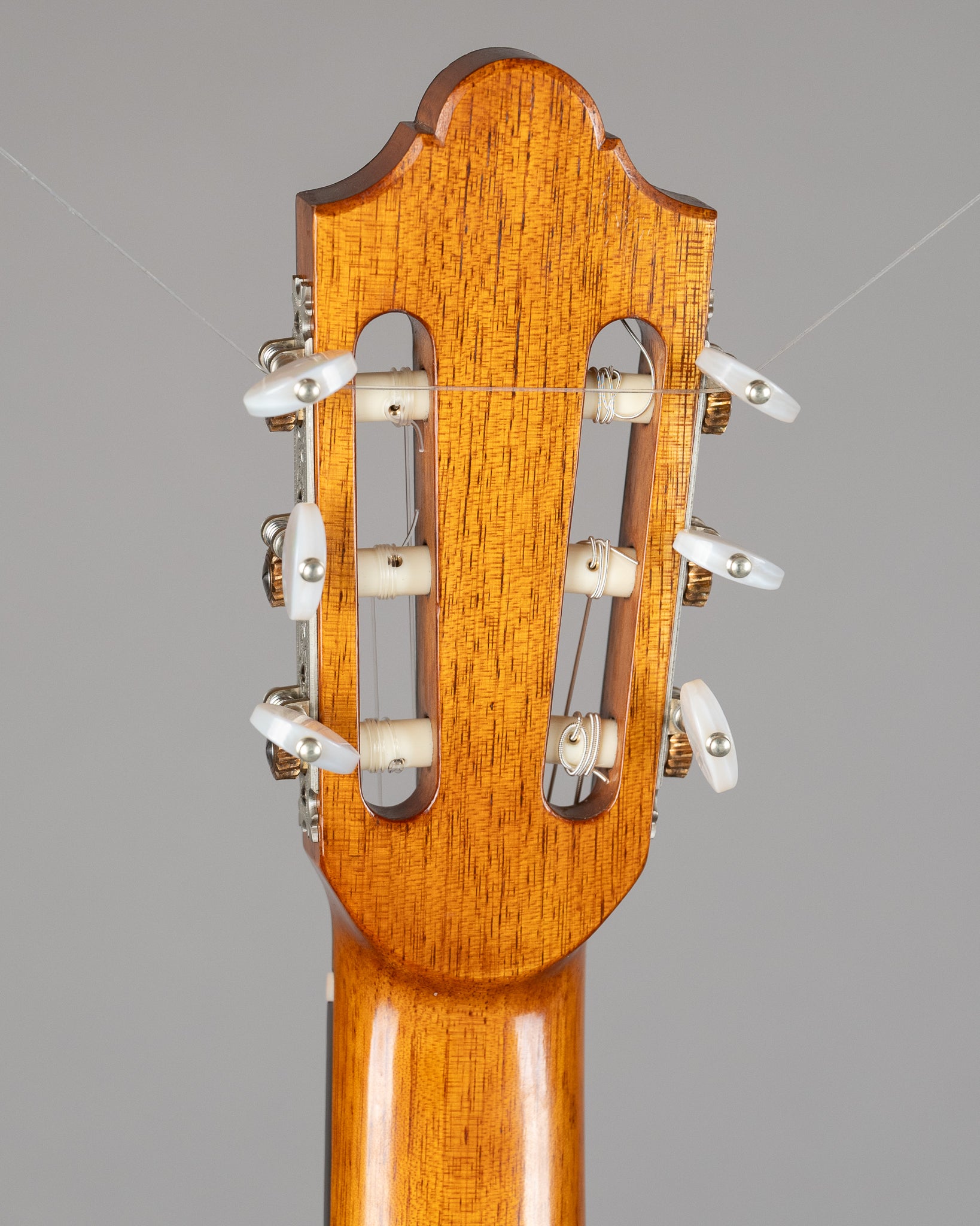 2024 Giovanni Tacchi Hand Made Classical (Italy, Natural, OHSC)