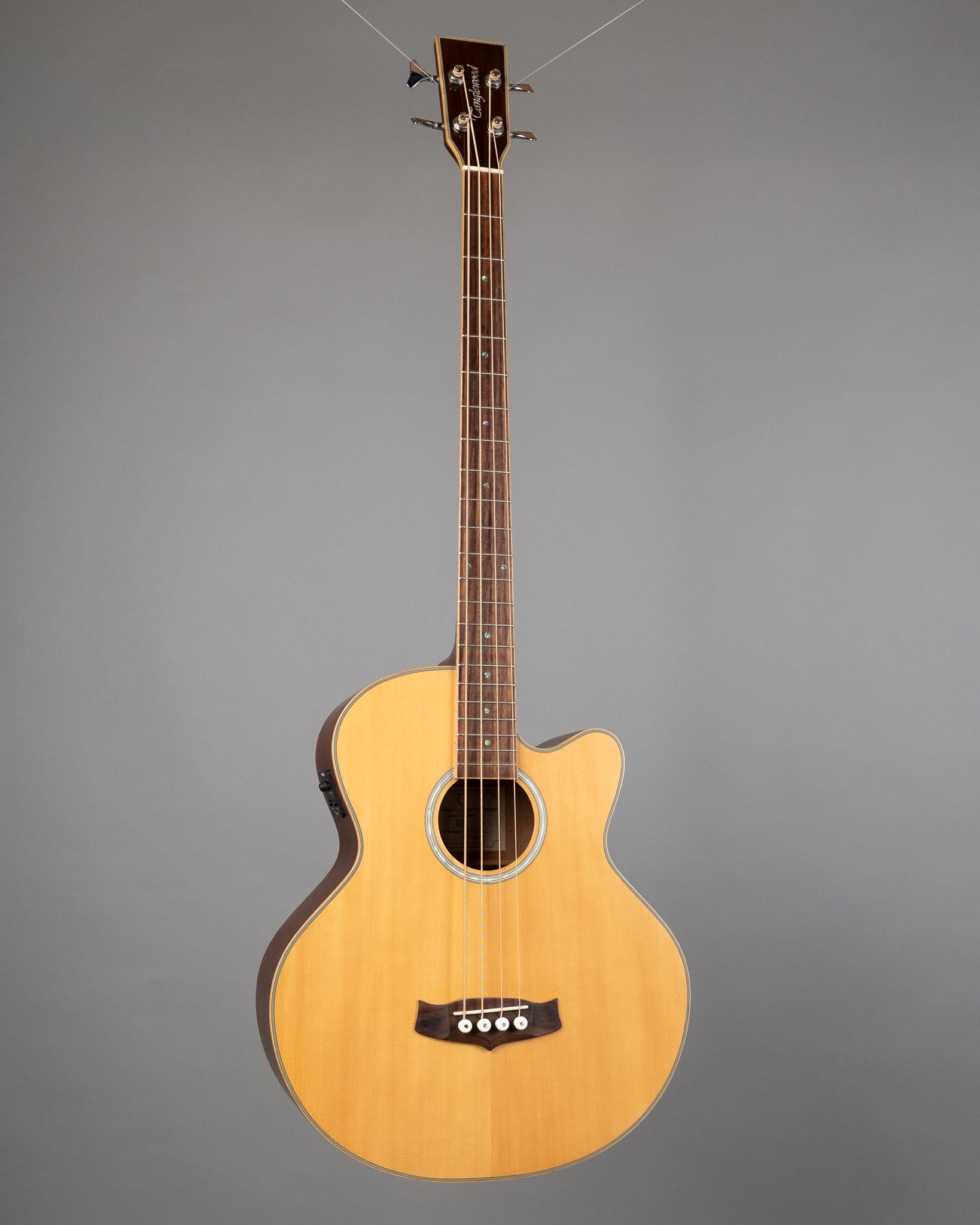 c2010 Tanglewood TAB DLX CE Deluxe Acoustic Bass (China, Natural Satin)