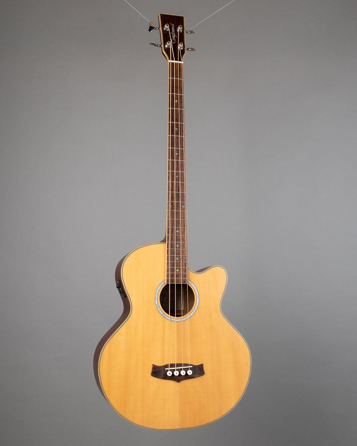 c2010 Tanglewood TAB DLX CE Deluxe Acoustic Bass (China, Natural Satin)
