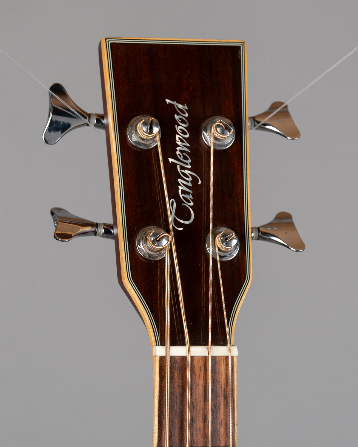 c2010 Tanglewood TAB DLX CE Deluxe Acoustic Bass (China, Natural Satin)