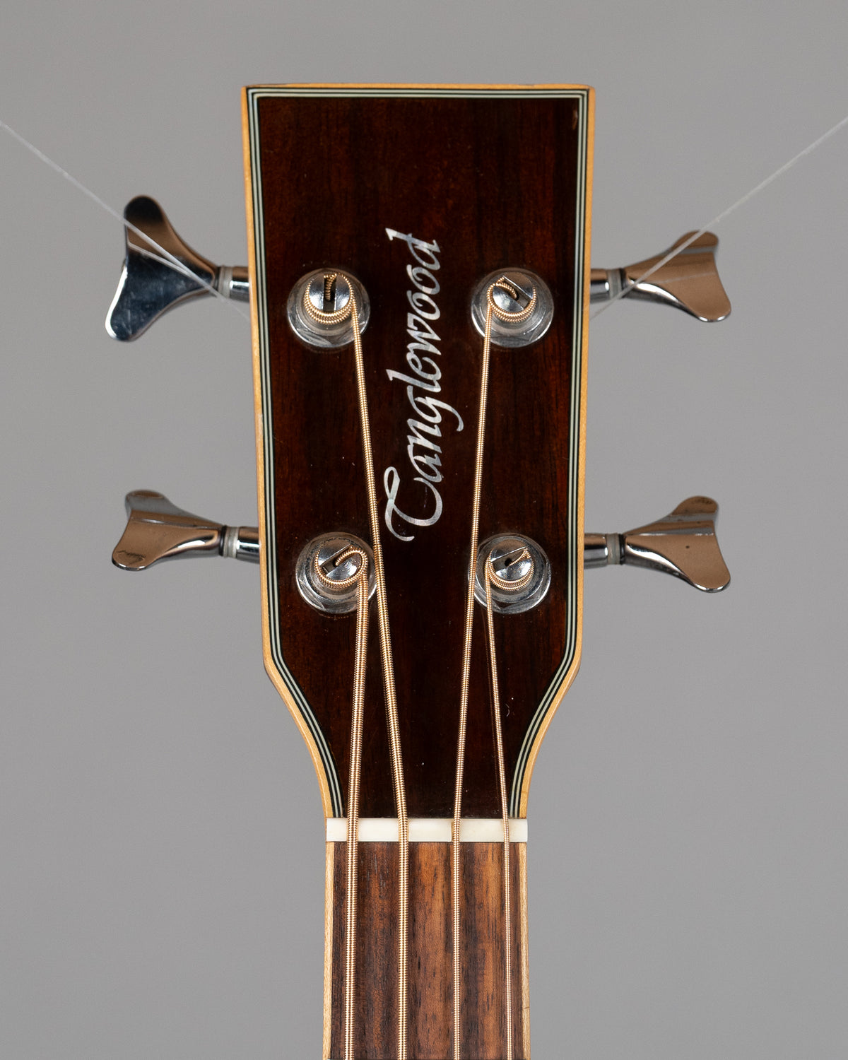 c2010 Tanglewood TAB DLX CE Deluxe Acoustic Bass (China, Natural Satin)