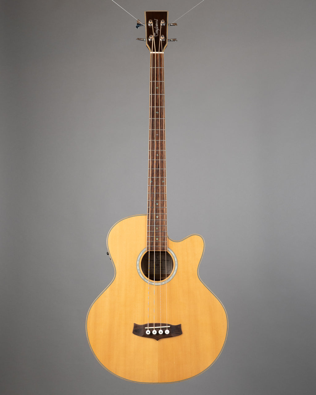 c2010 Tanglewood TAB DLX CE Deluxe Acoustic Bass (China, Natural Satin)