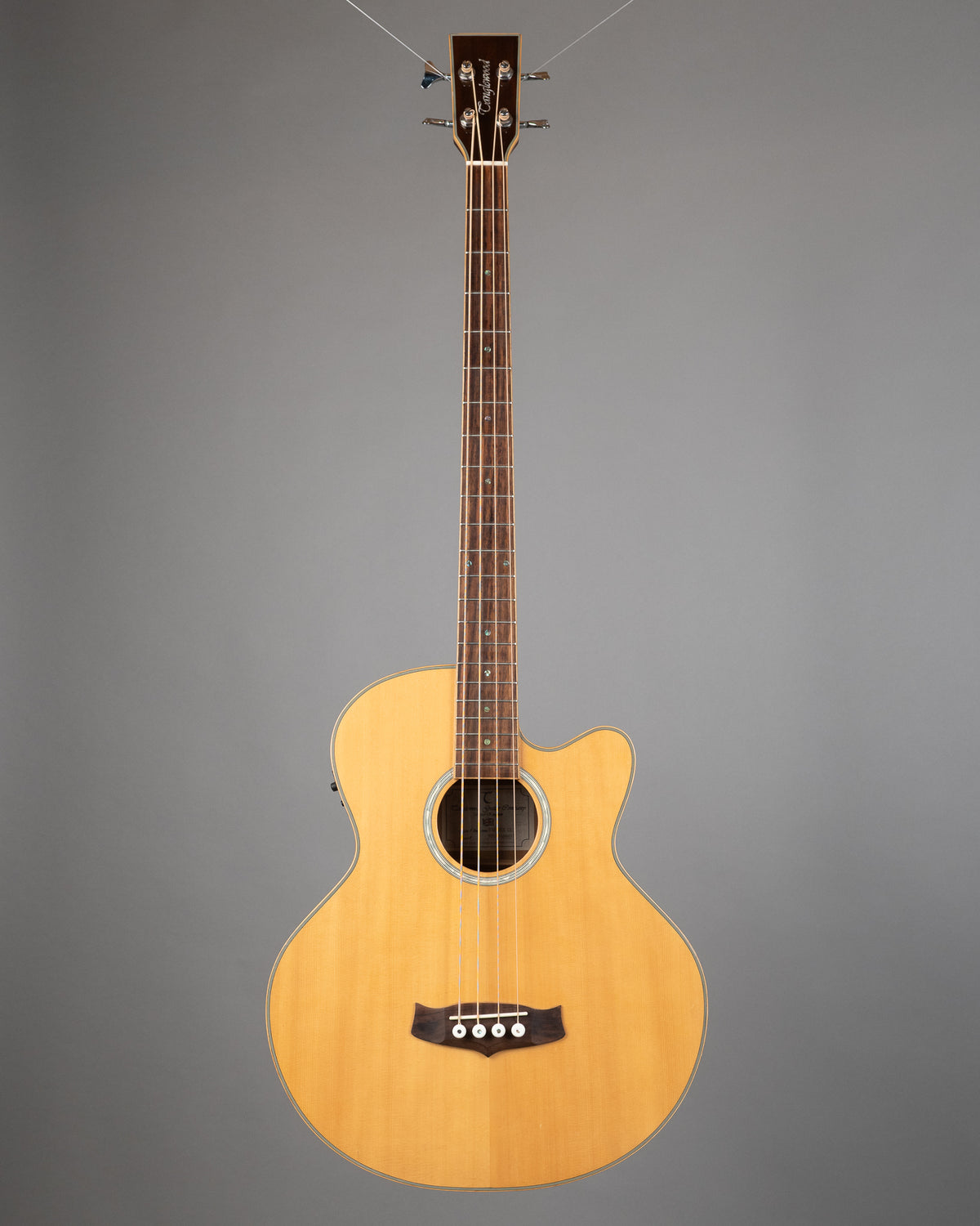 c2010 Tanglewood TAB DLX CE Deluxe Acoustic Bass (China, Natural Satin)