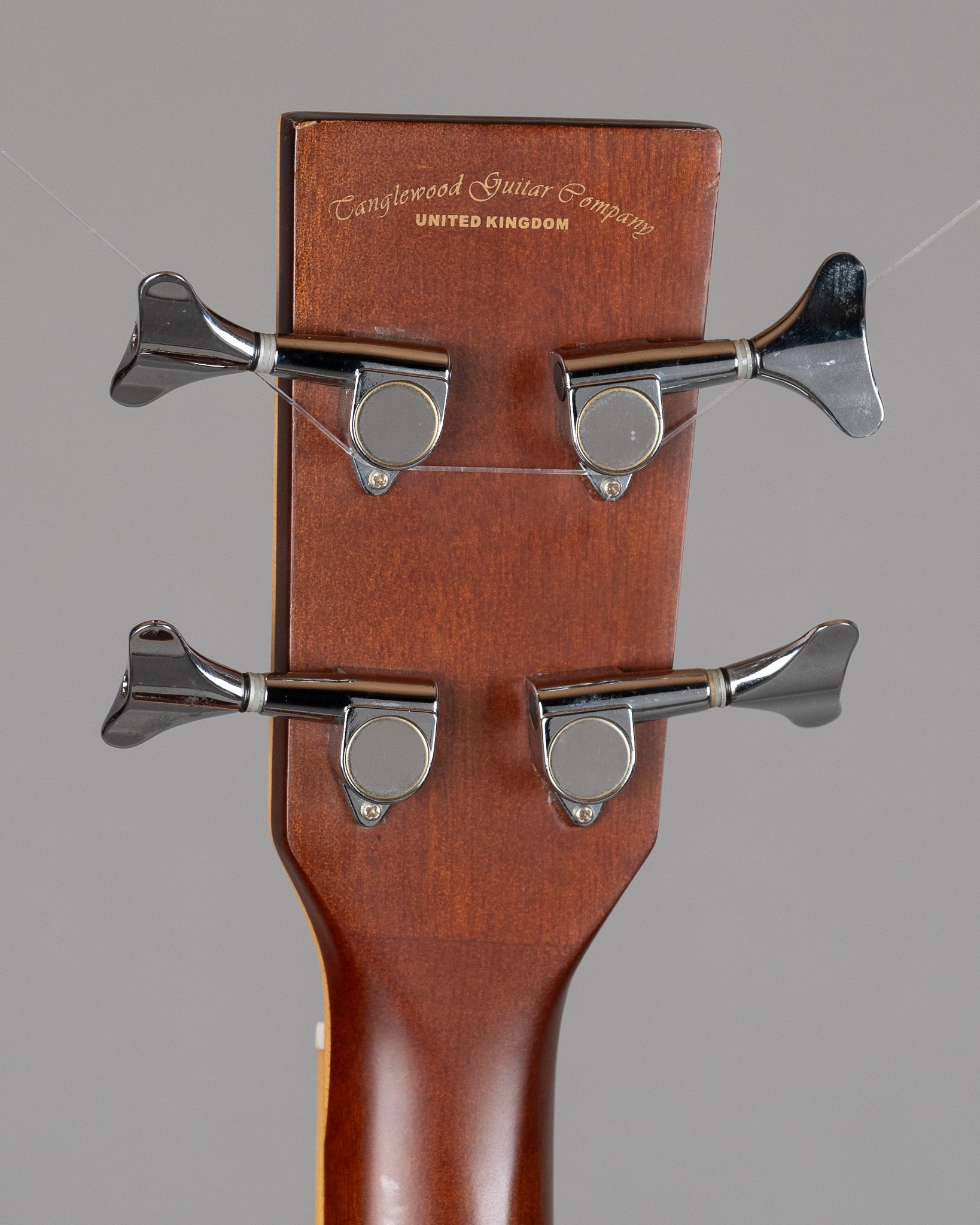 c2010 Tanglewood TAB DLX CE Deluxe Acoustic Bass (China, Natural Satin)