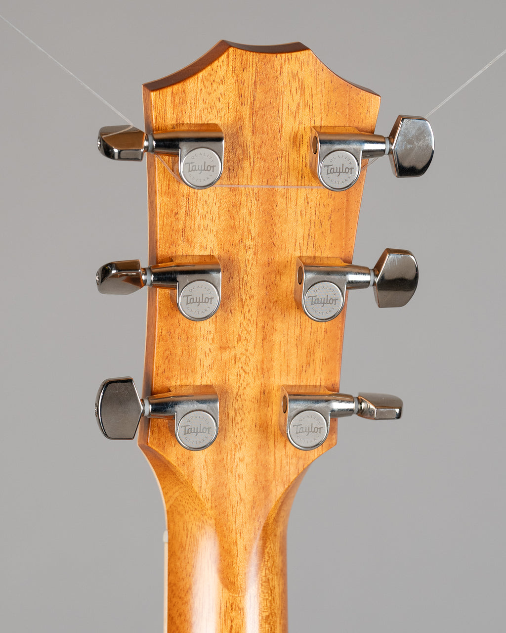 2014 Taylor 814CE Acoustic (USA, Natural, Pickup, OHSC)