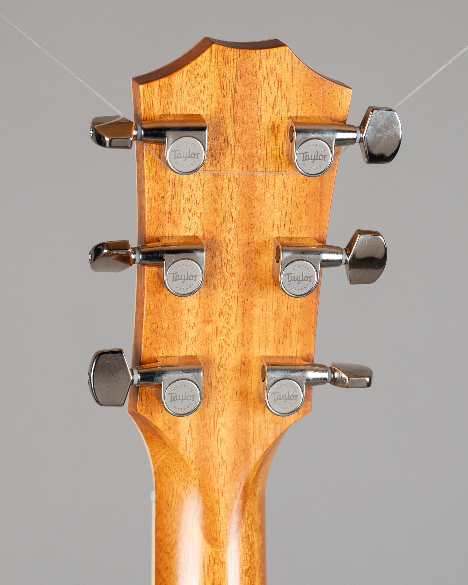 2014 Taylor 814CE Acoustic (USA, Natural, Pickup, OHSC)