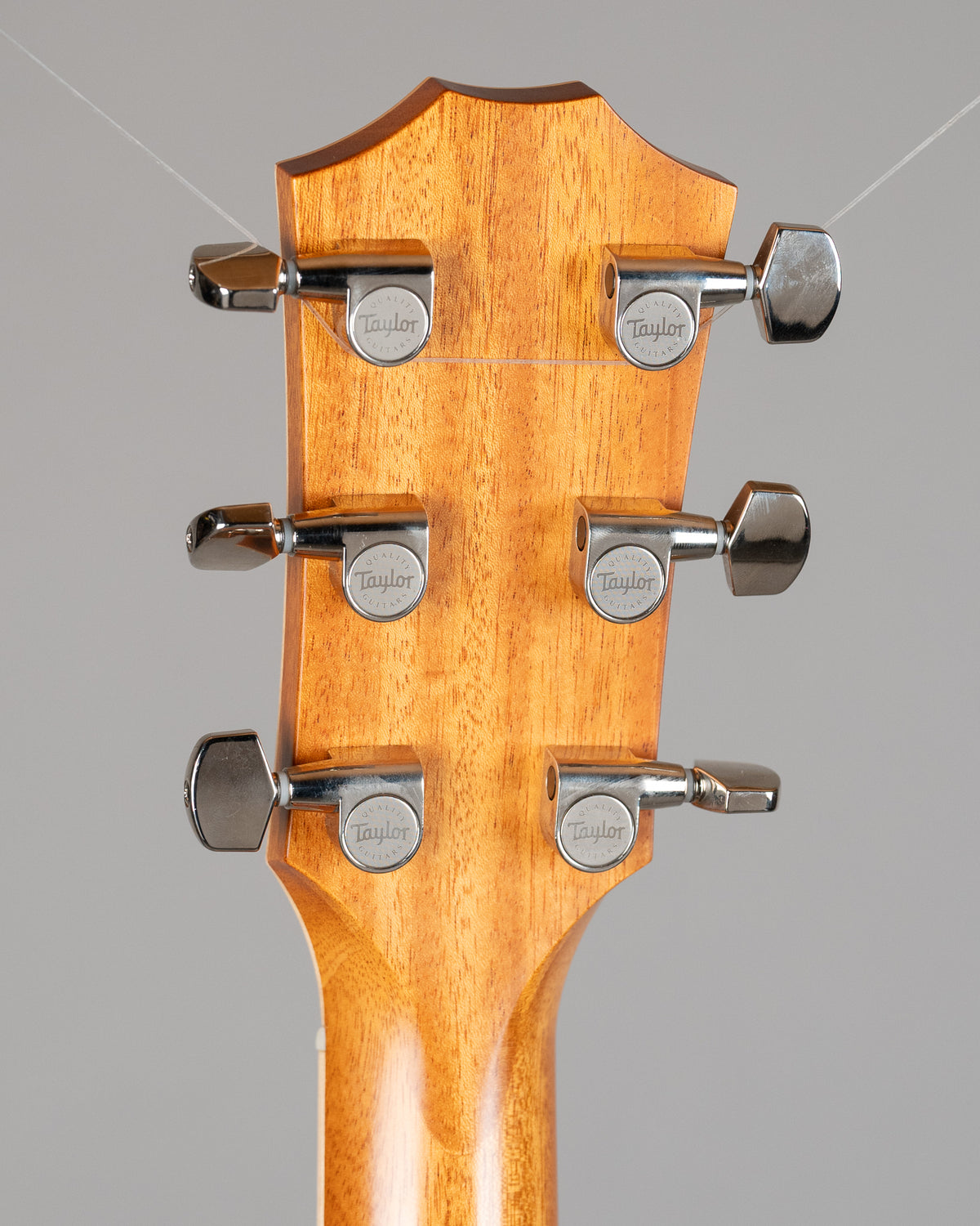 2014 Taylor 814CE Acoustic (USA, Natural, Pickup, OHSC)