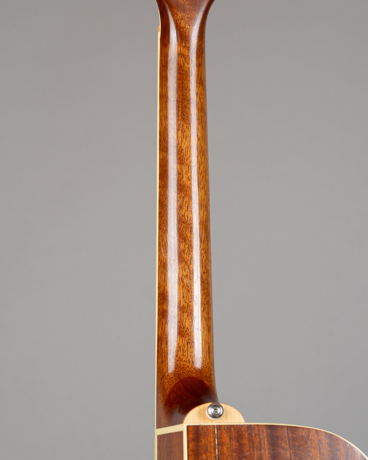 Cort MR-AS-L 6 String (Korea, Natural, HSC)