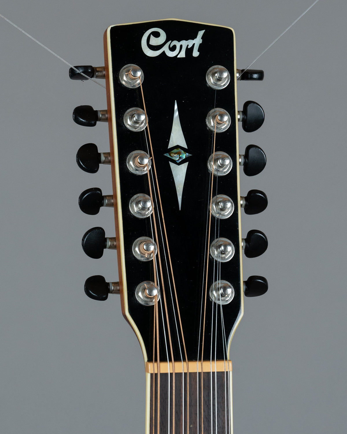 2009 Cort SFX5/12 '12 String' (Indonesia, Natural, HSC)