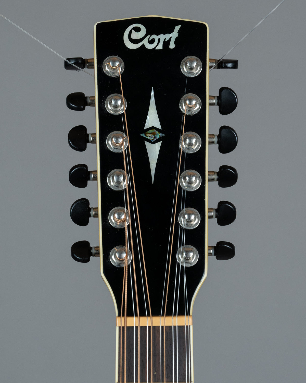 2009 Cort SFX5/12 '12 String' (Indonesia, Natural, HSC)