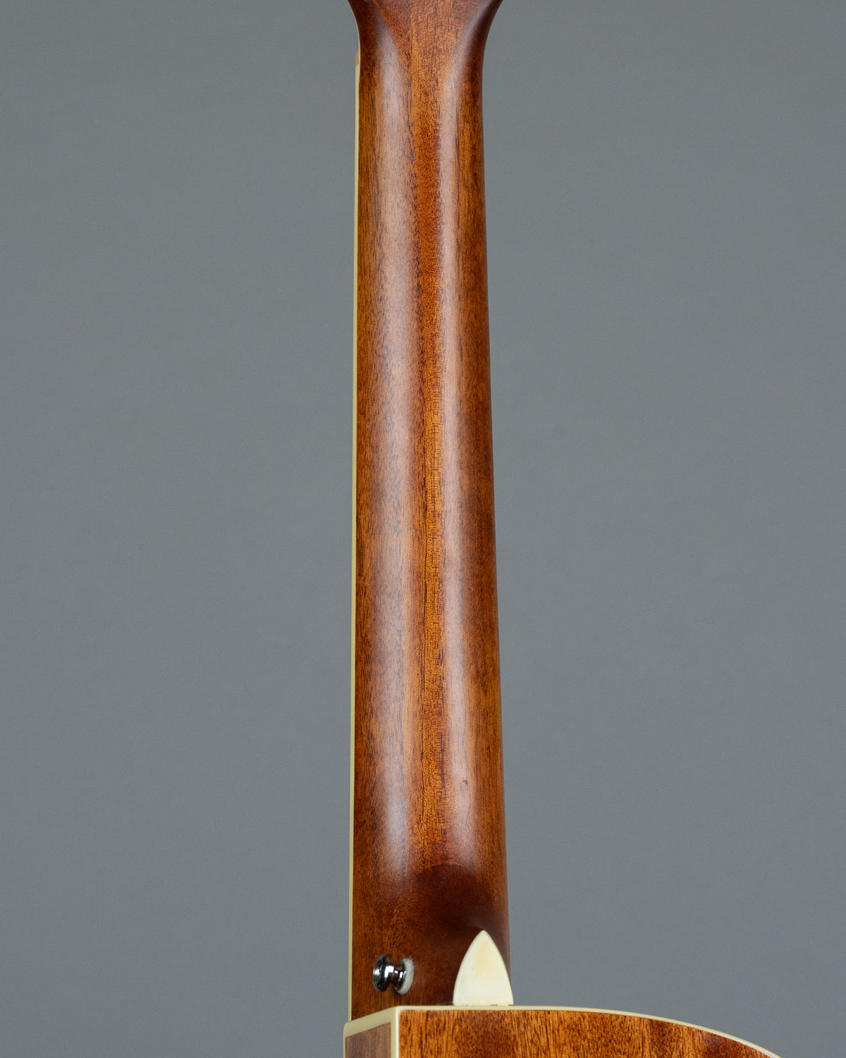 2009 Cort SFX5/12 '12 String' (Indonesia, Natural, HSC)