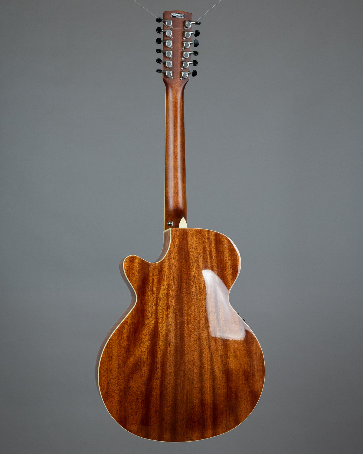2009 Cort SFX5/12 '12 String' (Indonesia, Natural, HSC)