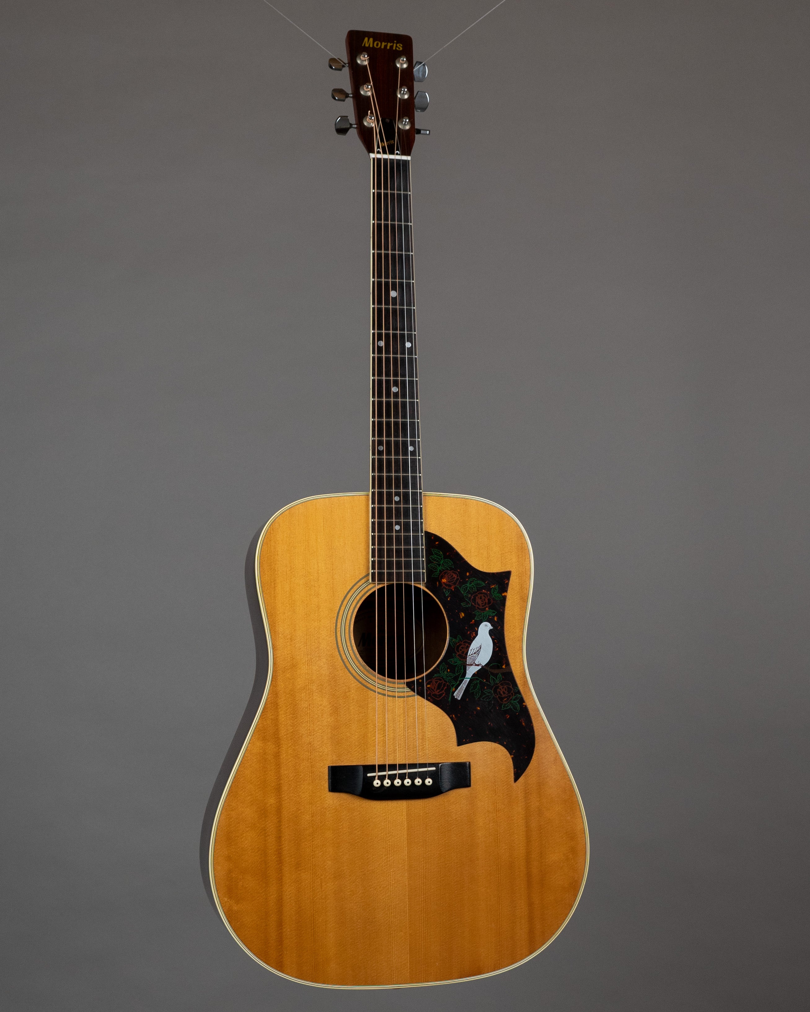 c1980s Morris W-20 'Dove' (Japan, Natural Gloss)